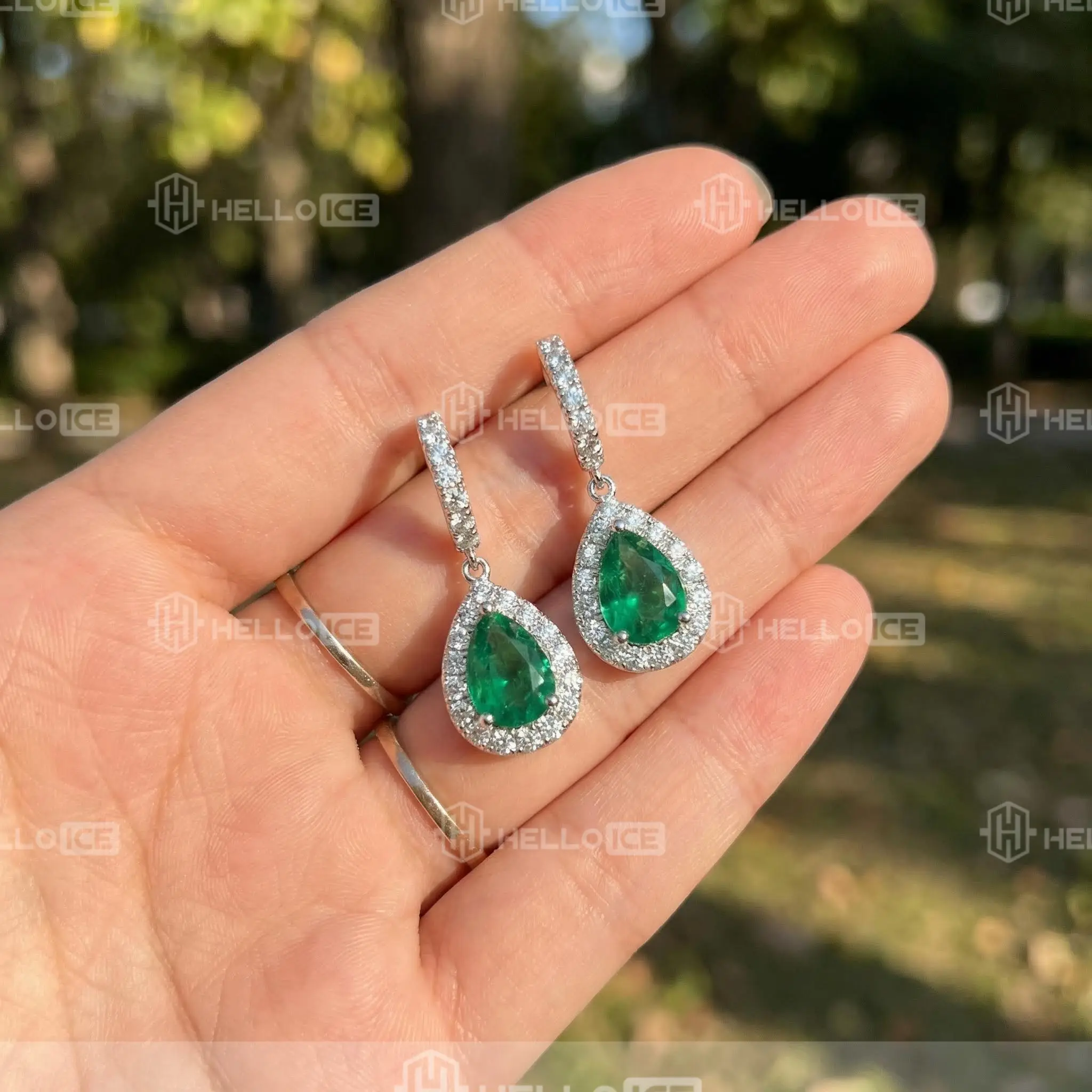 Helloice Review Image