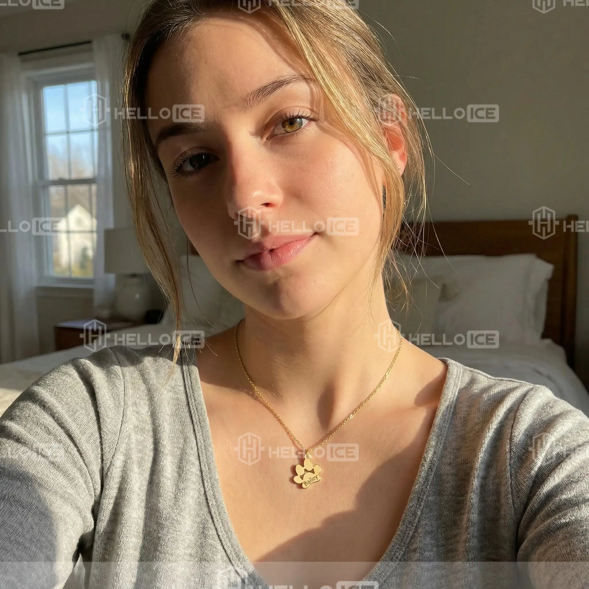 Helloice Review Image