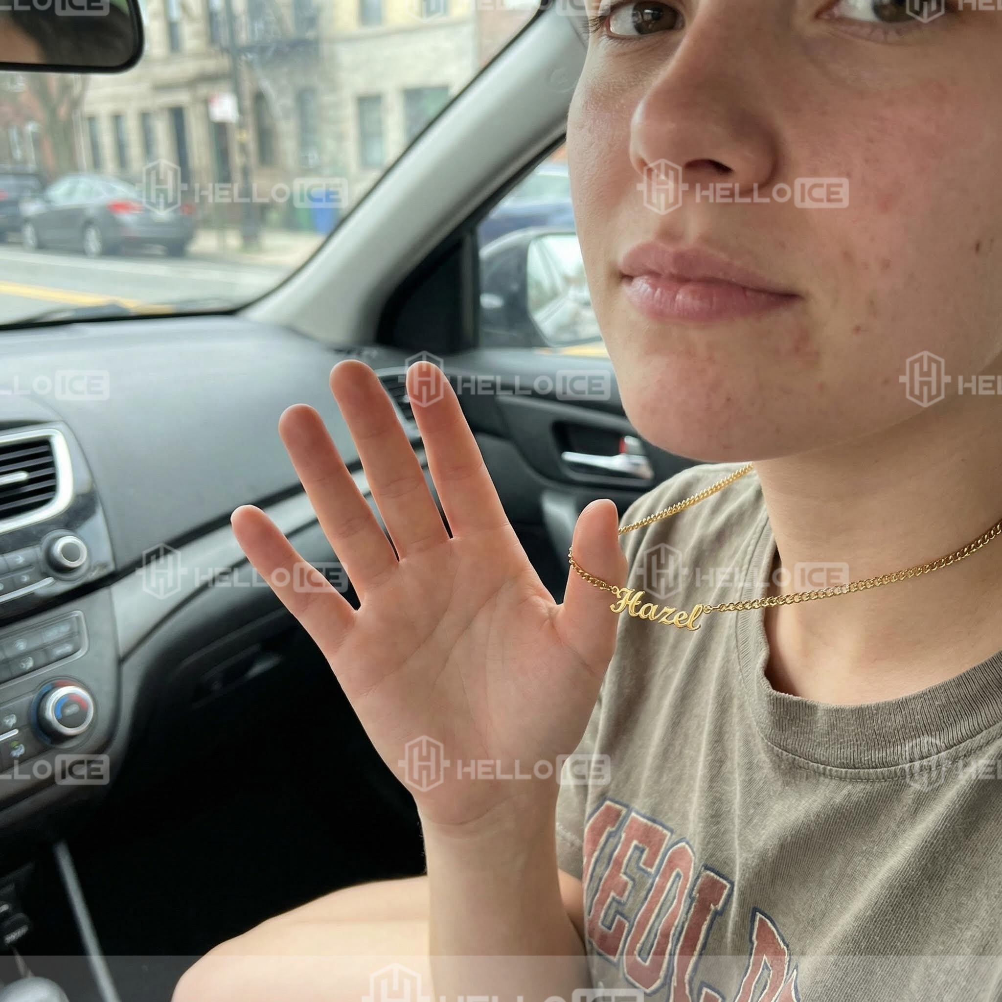 Helloice Review Image