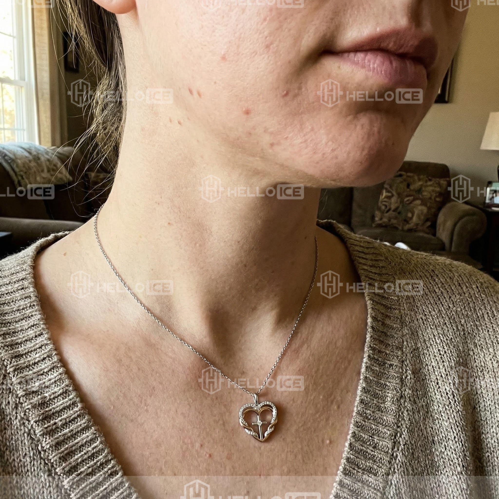 Helloice Review Image