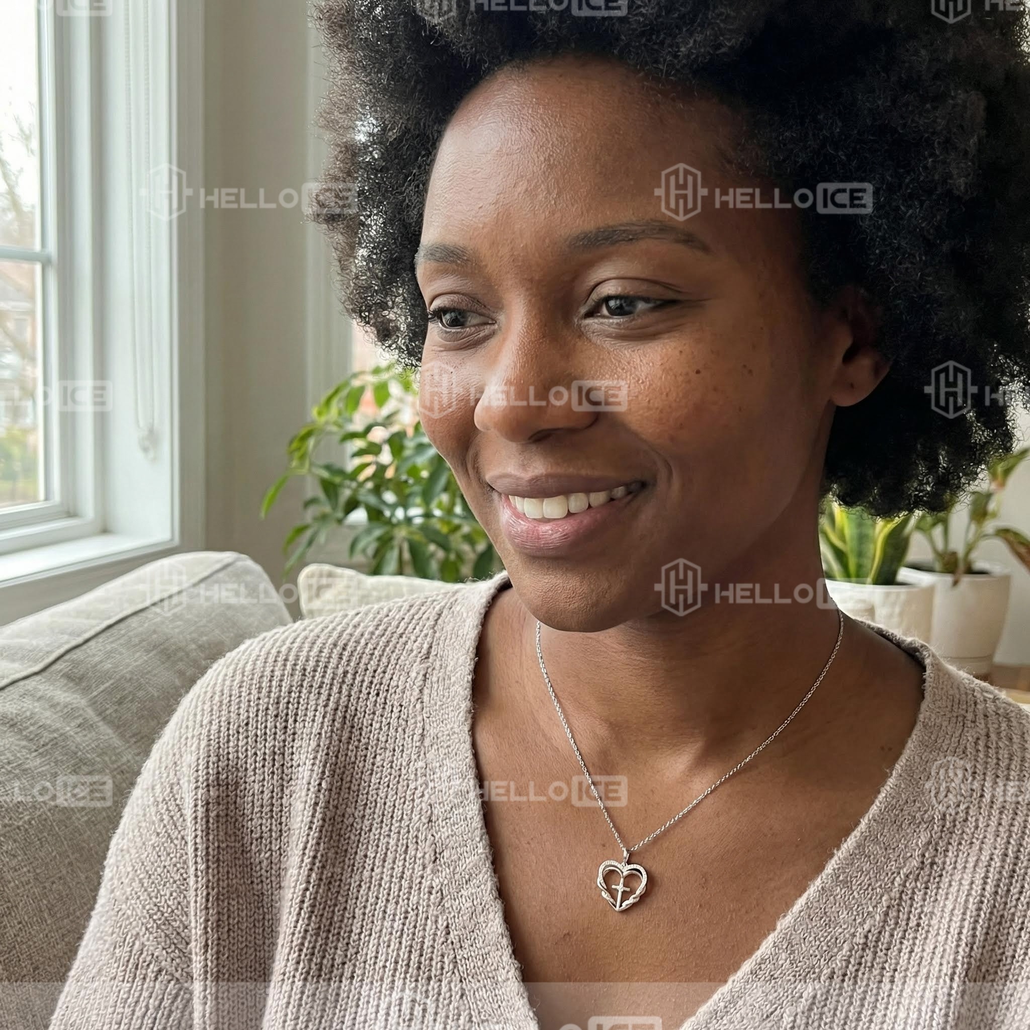 Helloice Review Image