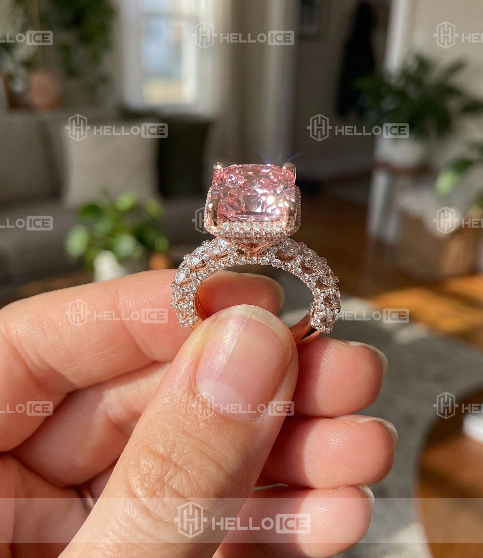 Helloice Review Image