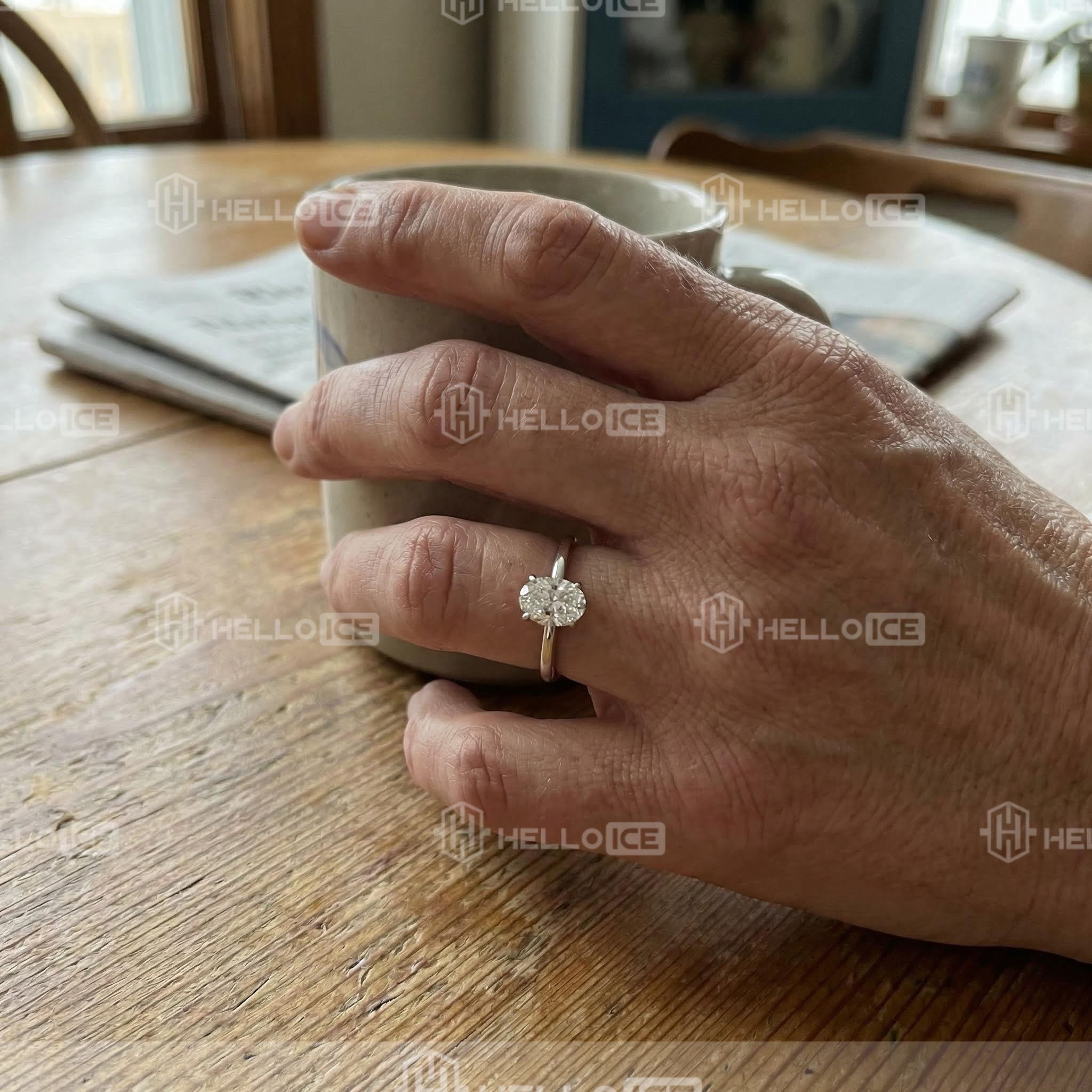 Helloice Review Image