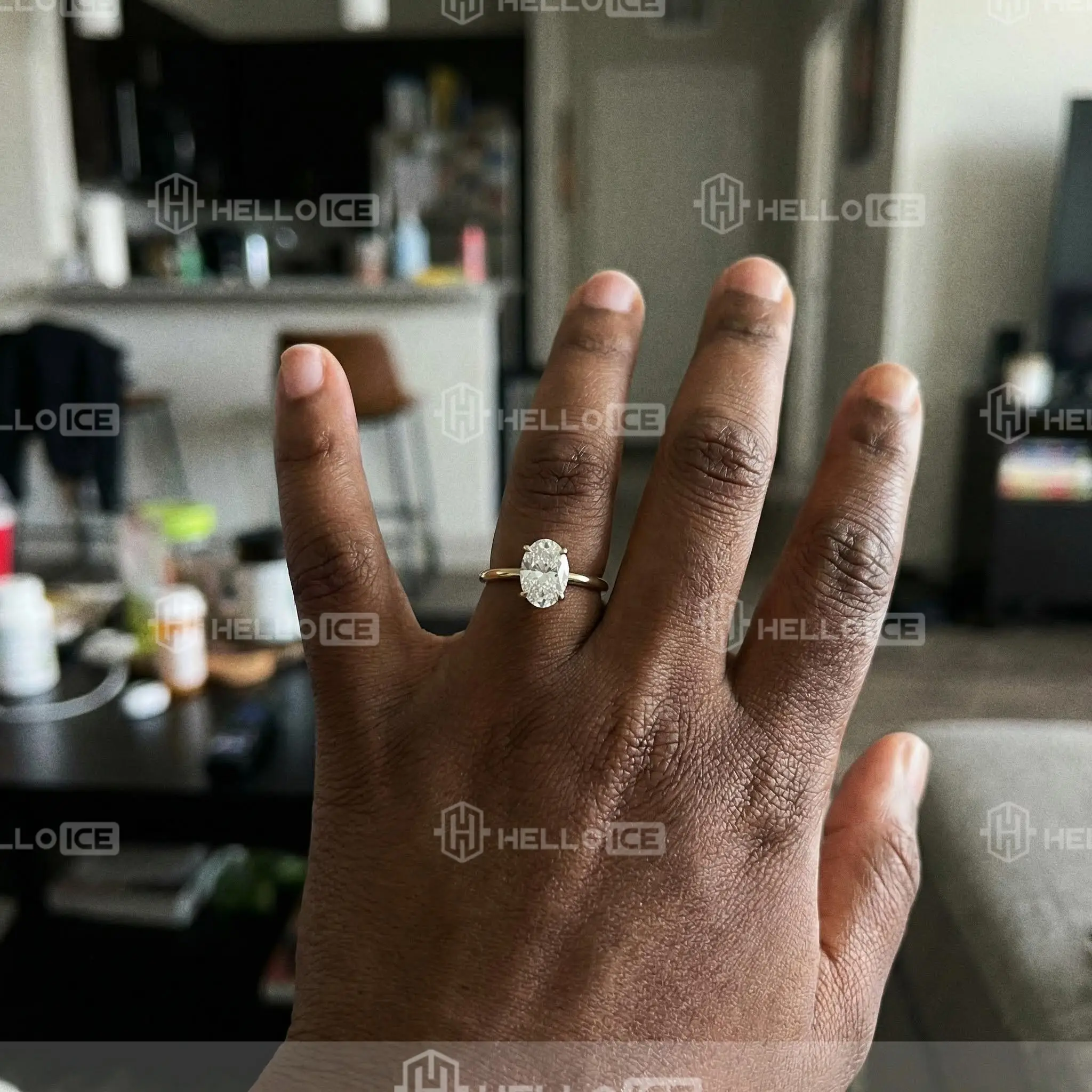 Helloice Review Image