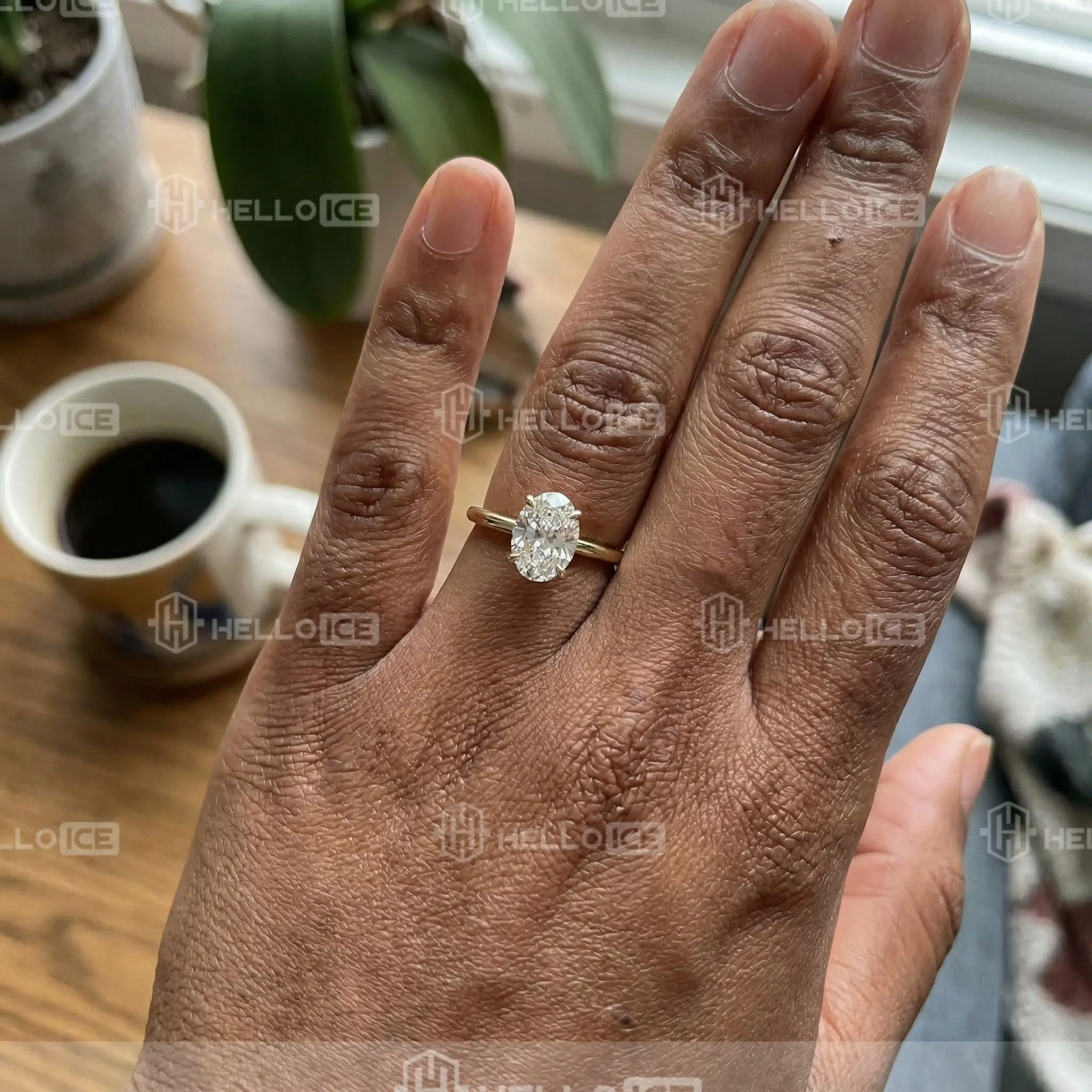 Helloice Review Image