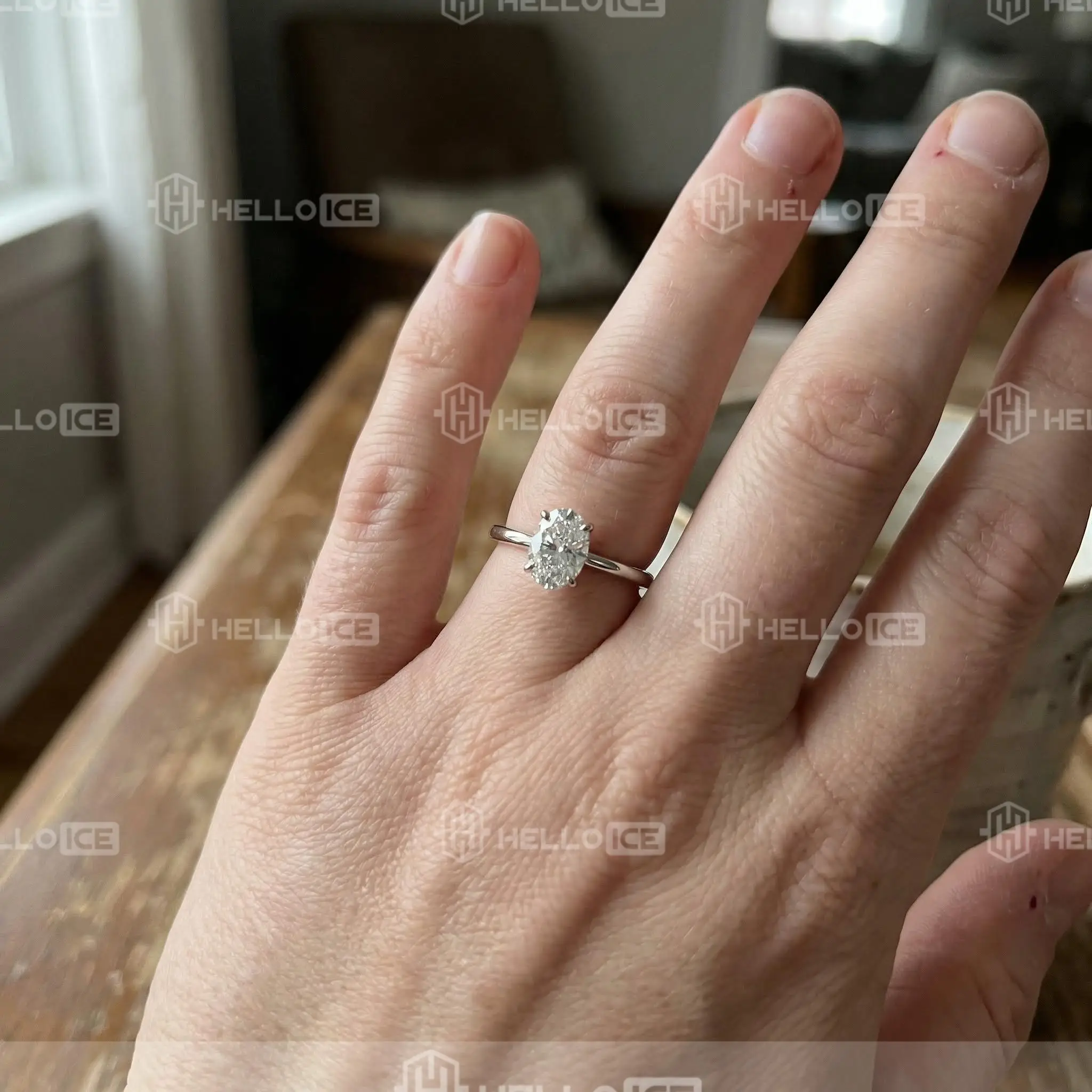 Helloice Review Image
