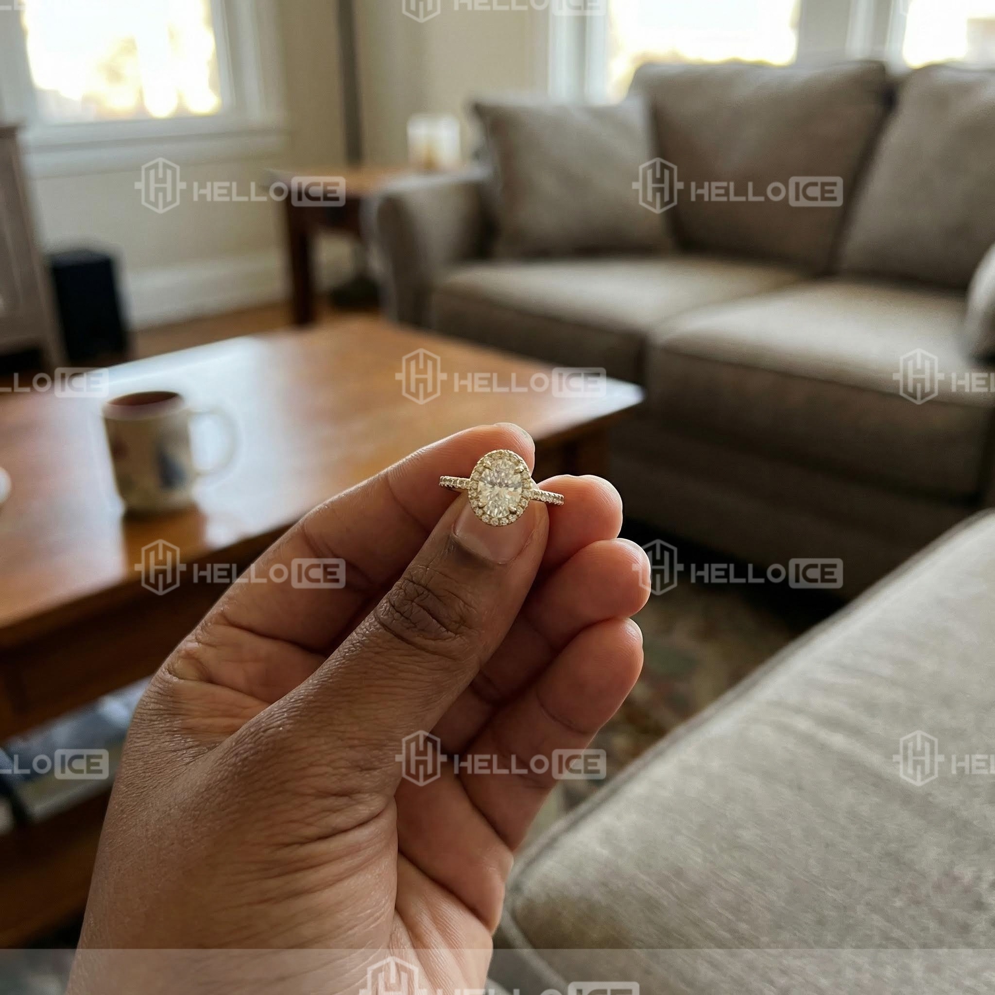 Helloice Review Image