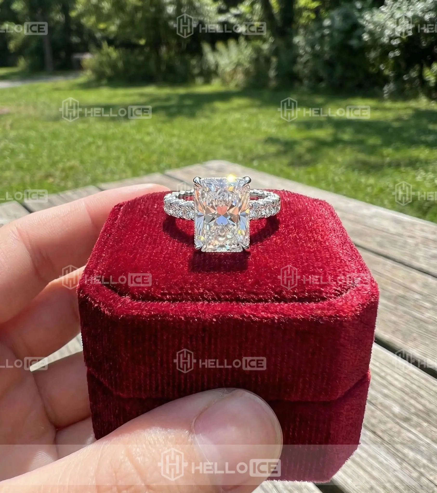 Helloice Review Image