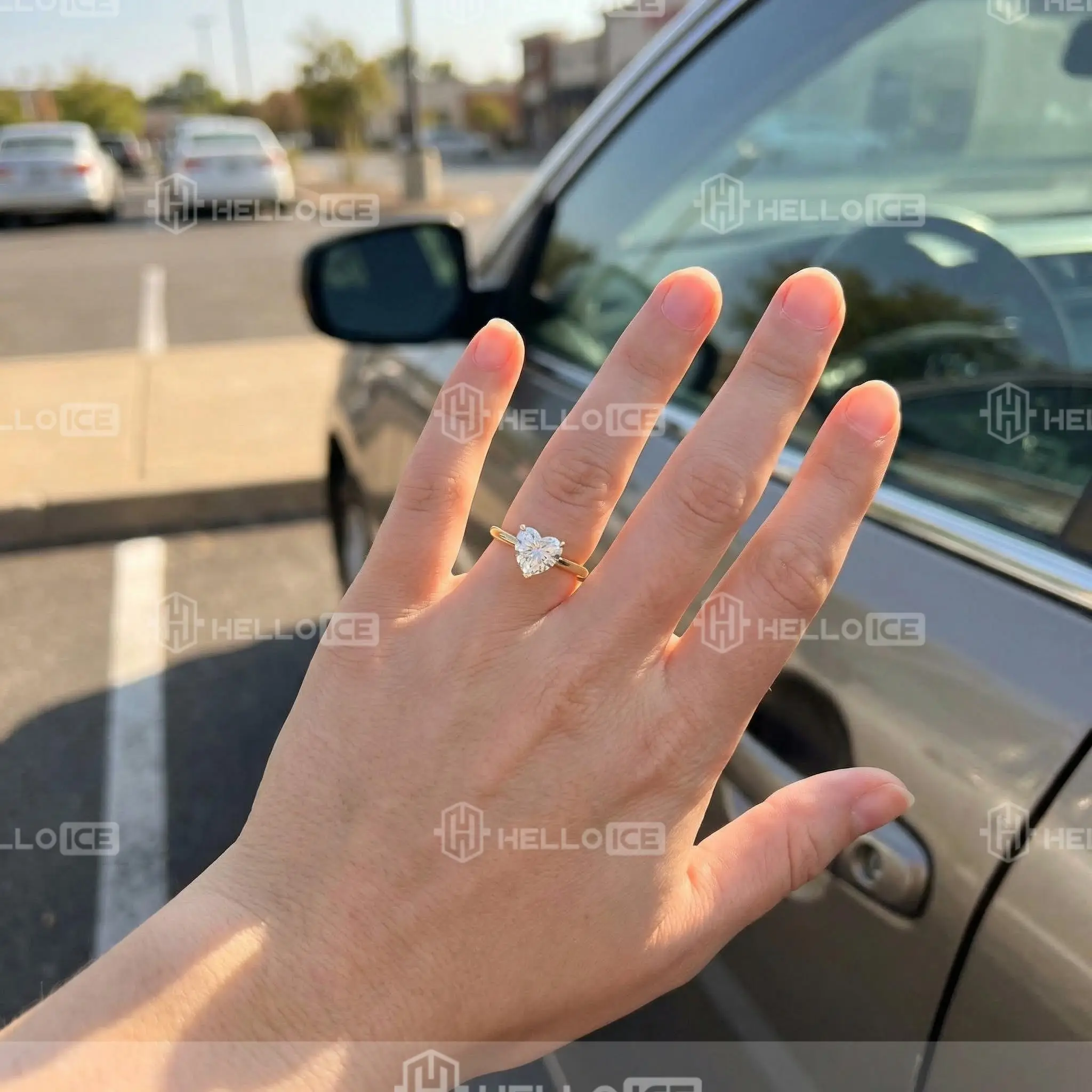 Helloice Review Image