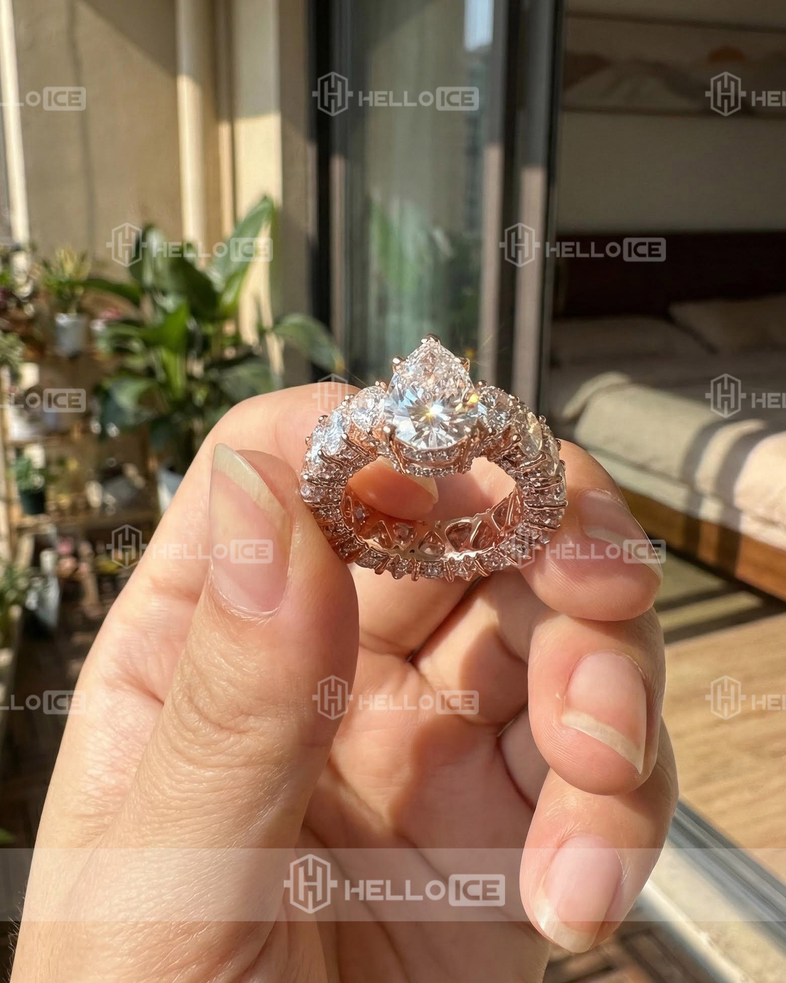 Helloice Review Image