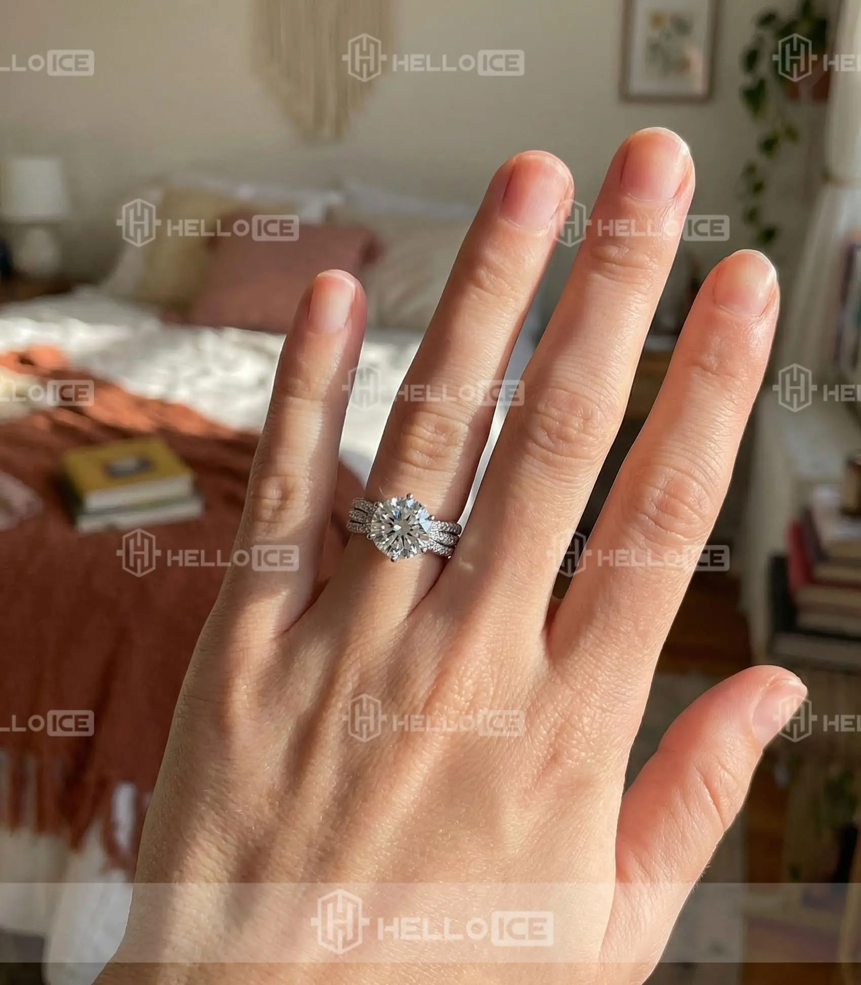 Helloice Review Image
