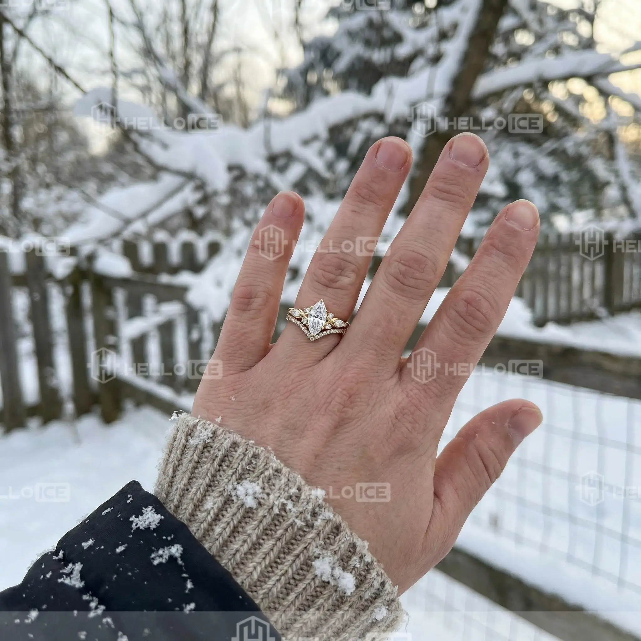 Helloice Review Image