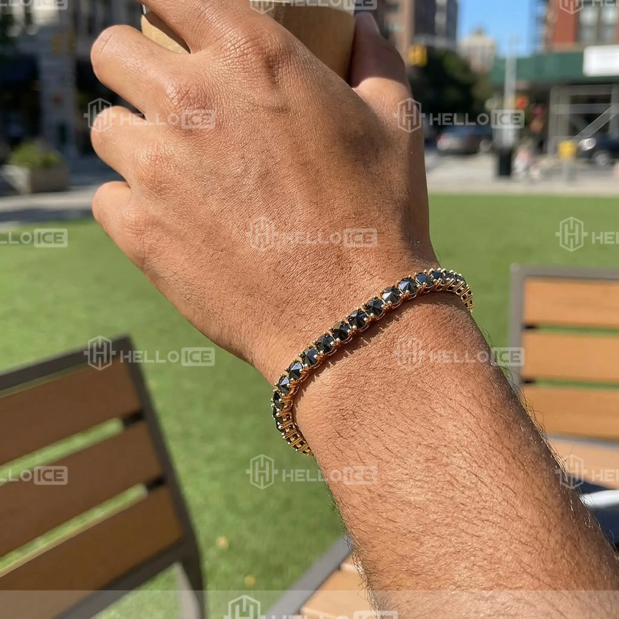 Helloice Review Image