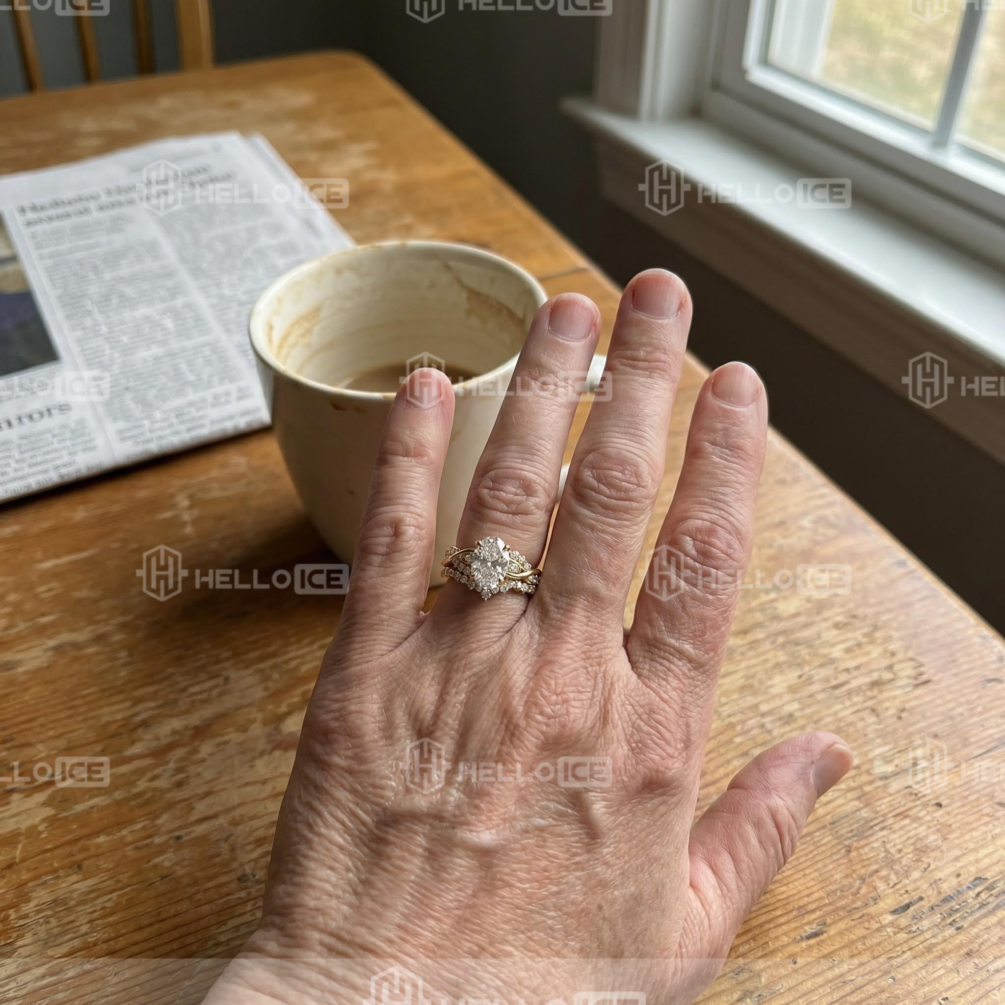 Helloice Review Image