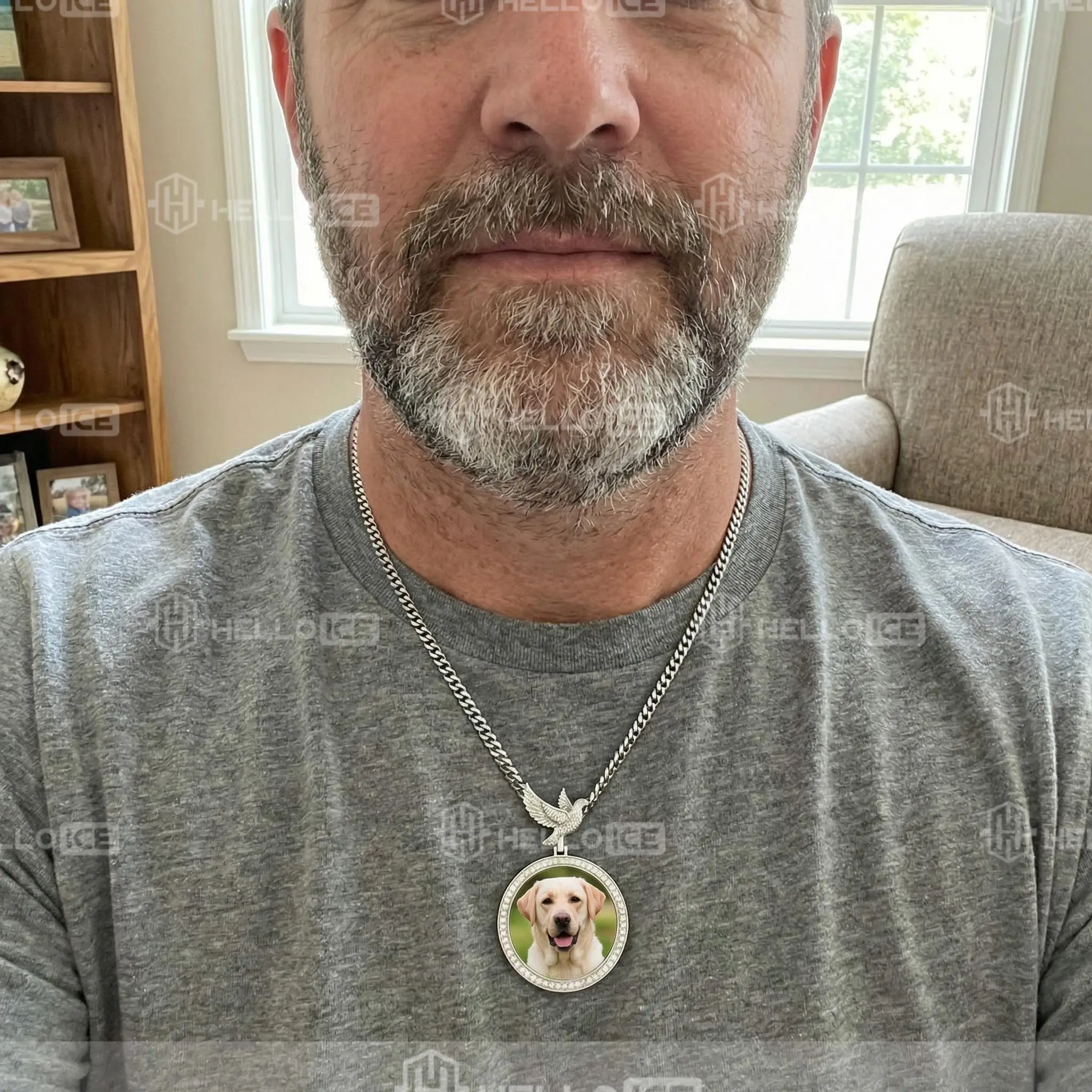 Helloice Review Image