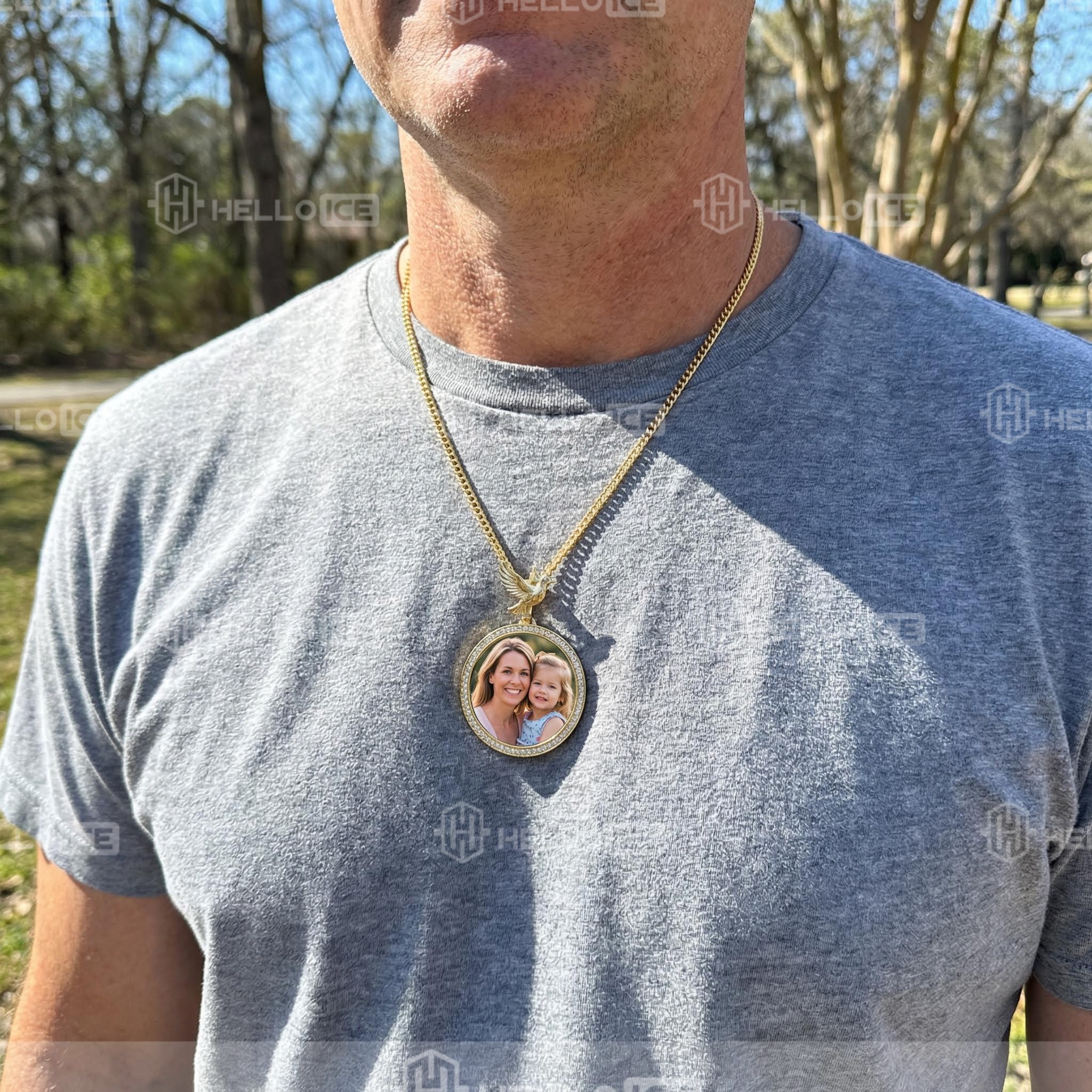 Helloice Review Image