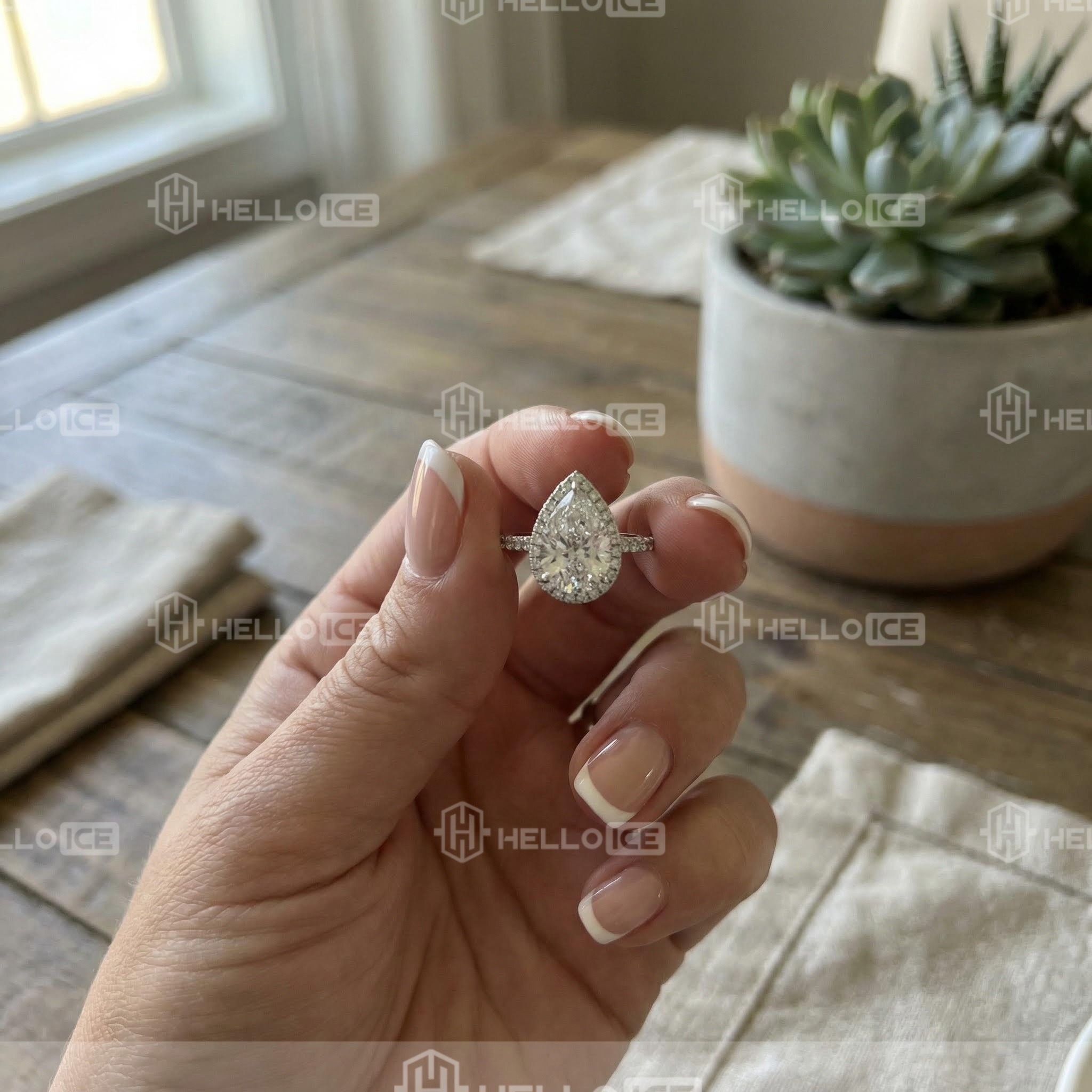 Helloice Review Image