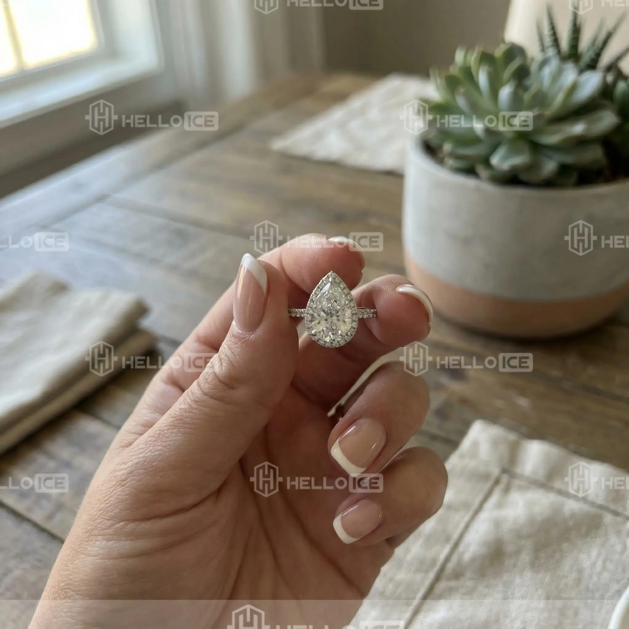 Helloice Review Image