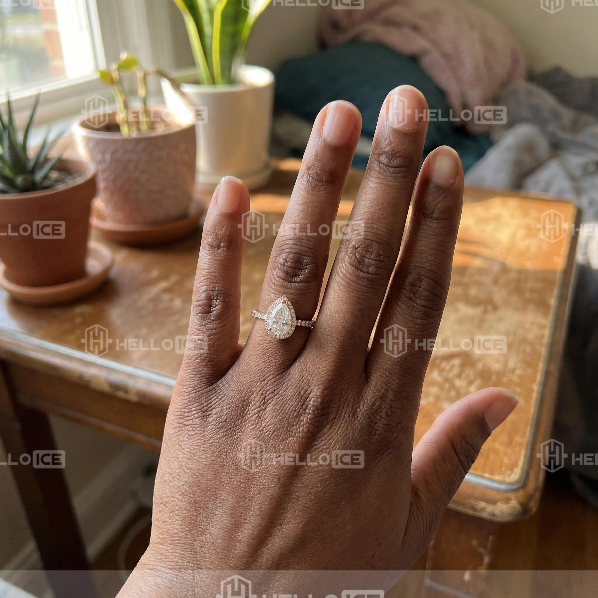 Helloice Review Image