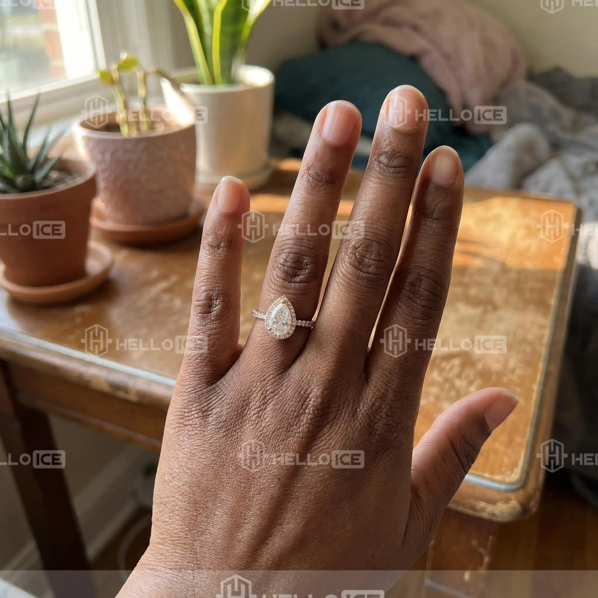 Helloice Review Image