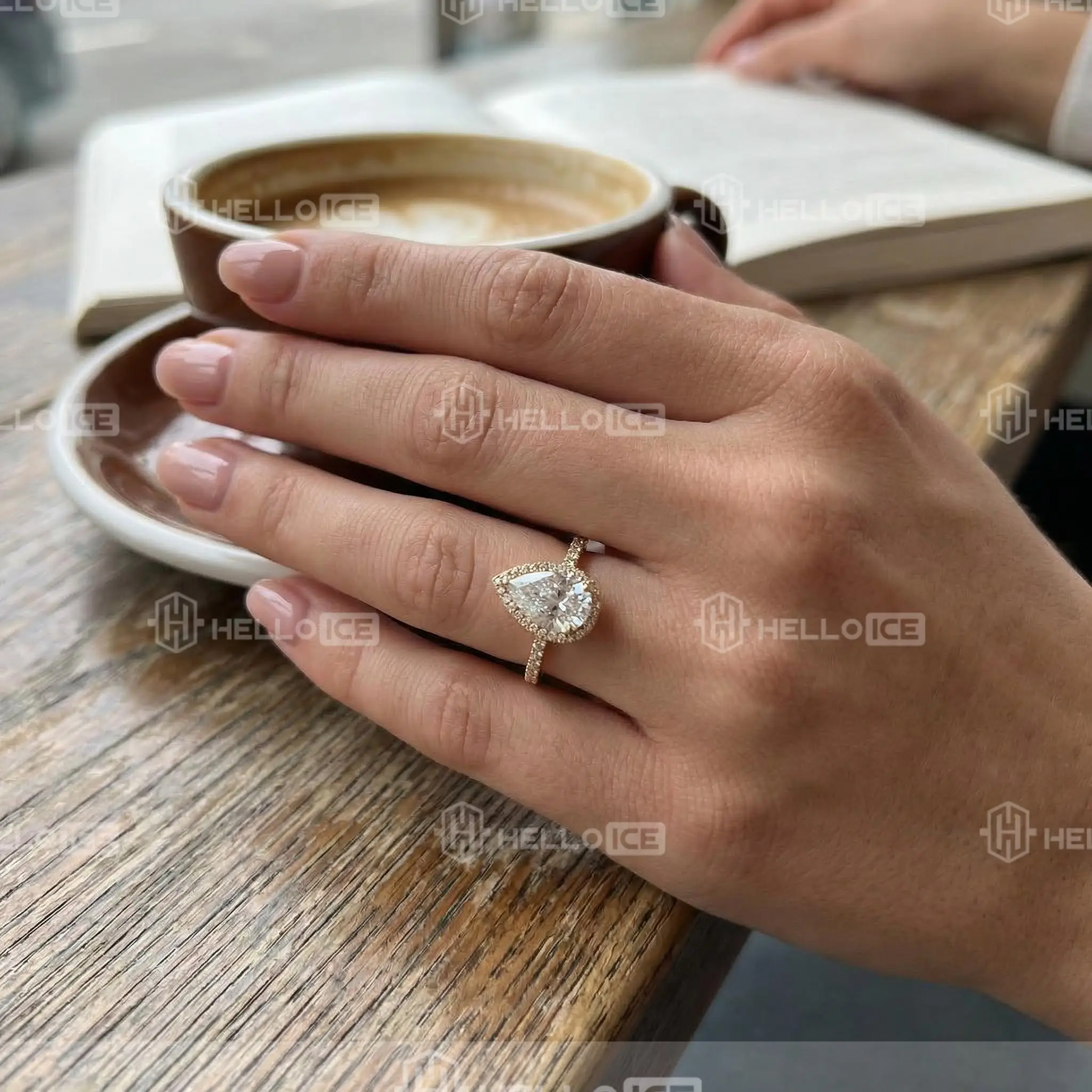 Helloice Review Image