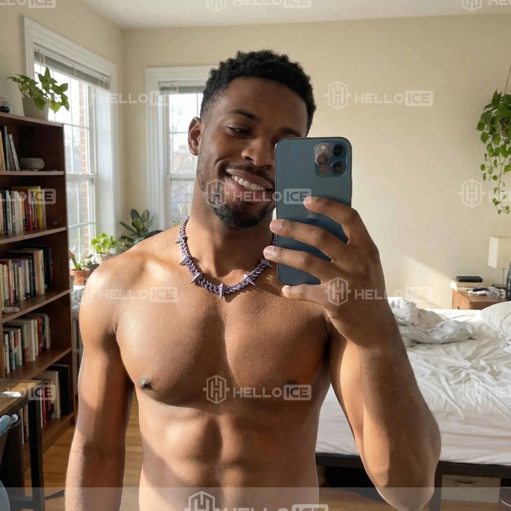 Helloice Review Image