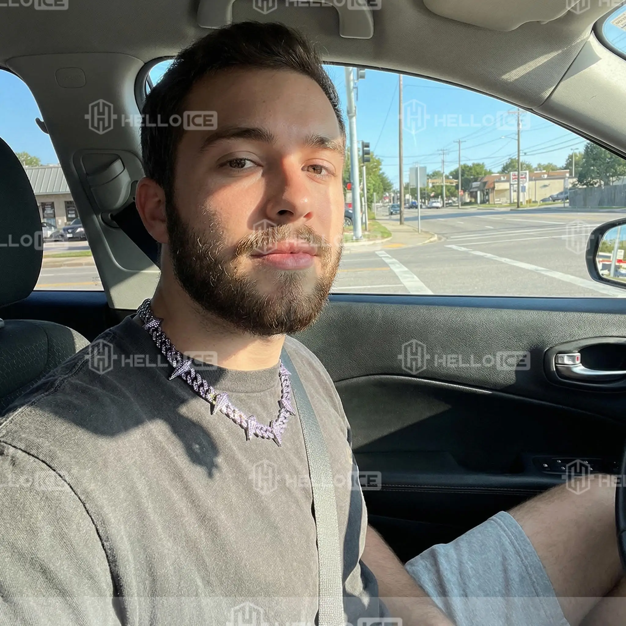 Helloice Review Image