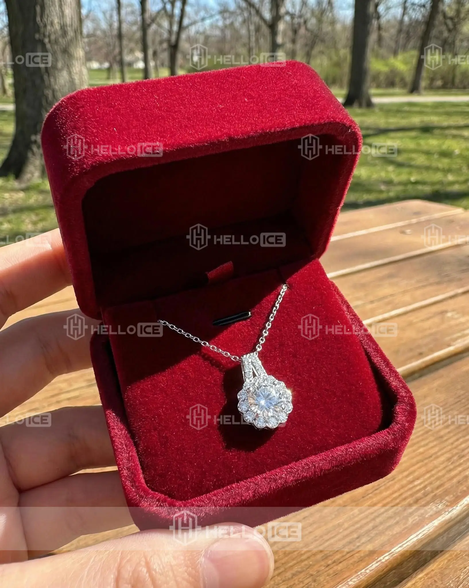 Helloice Review Image