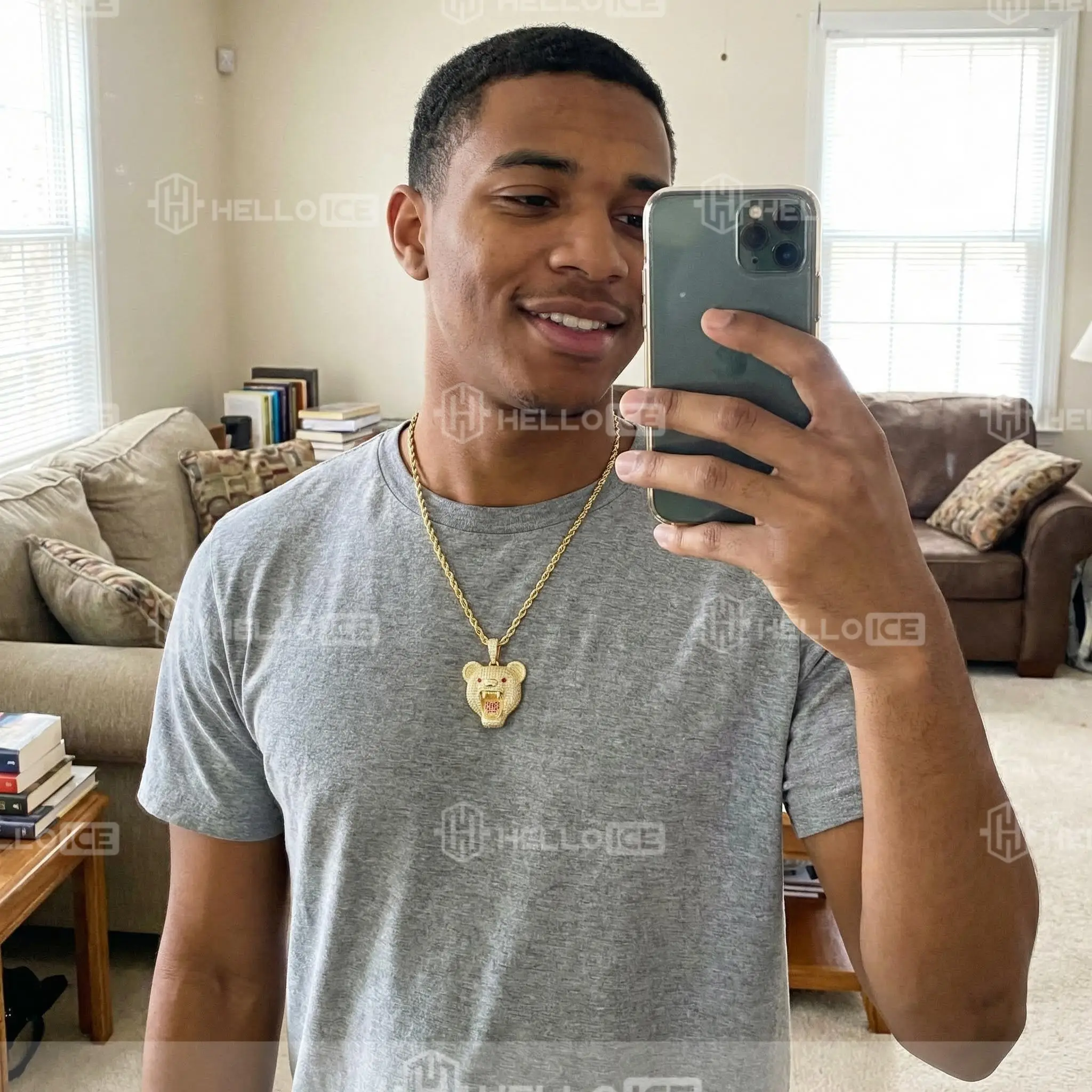 Helloice Review Image