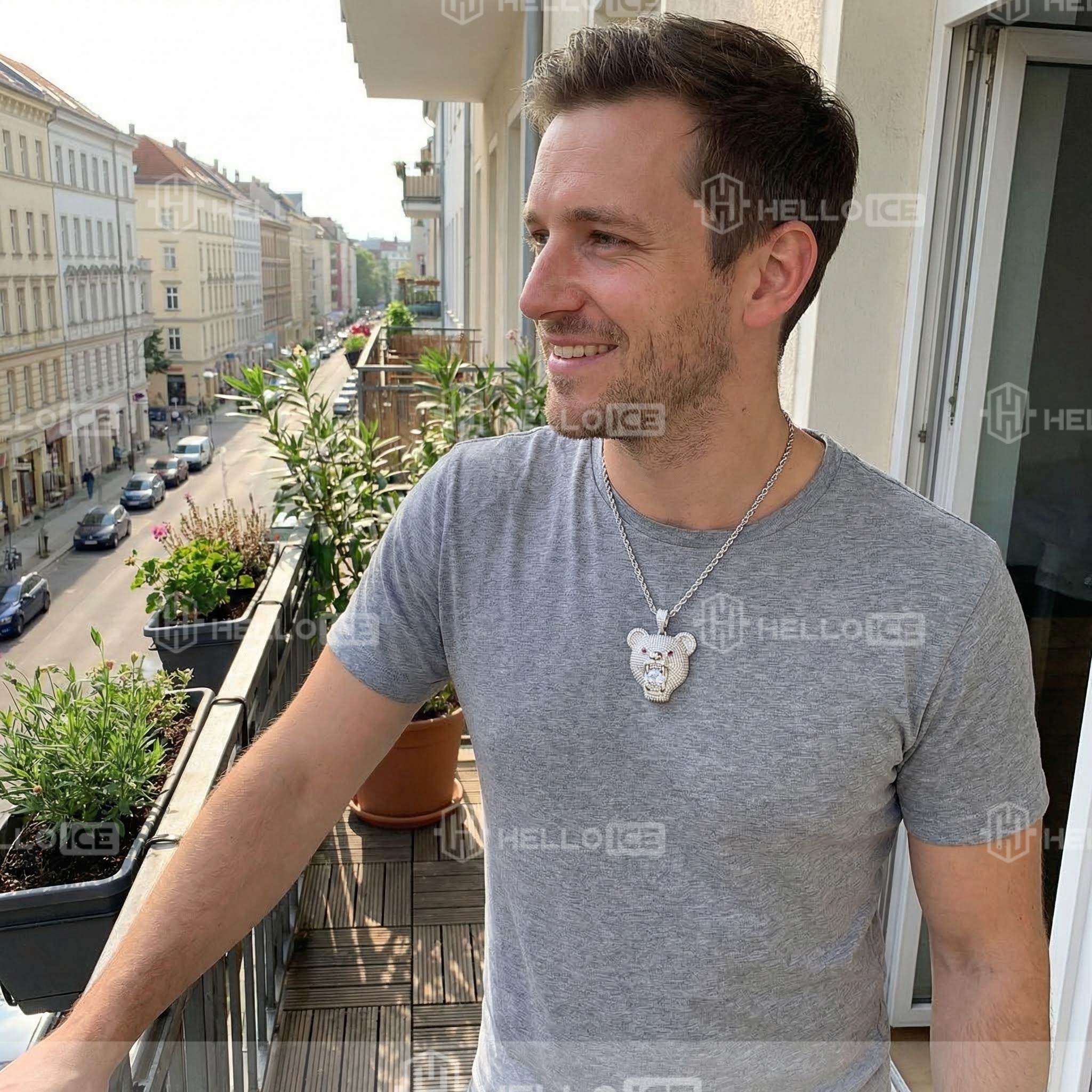 Helloice Review Image