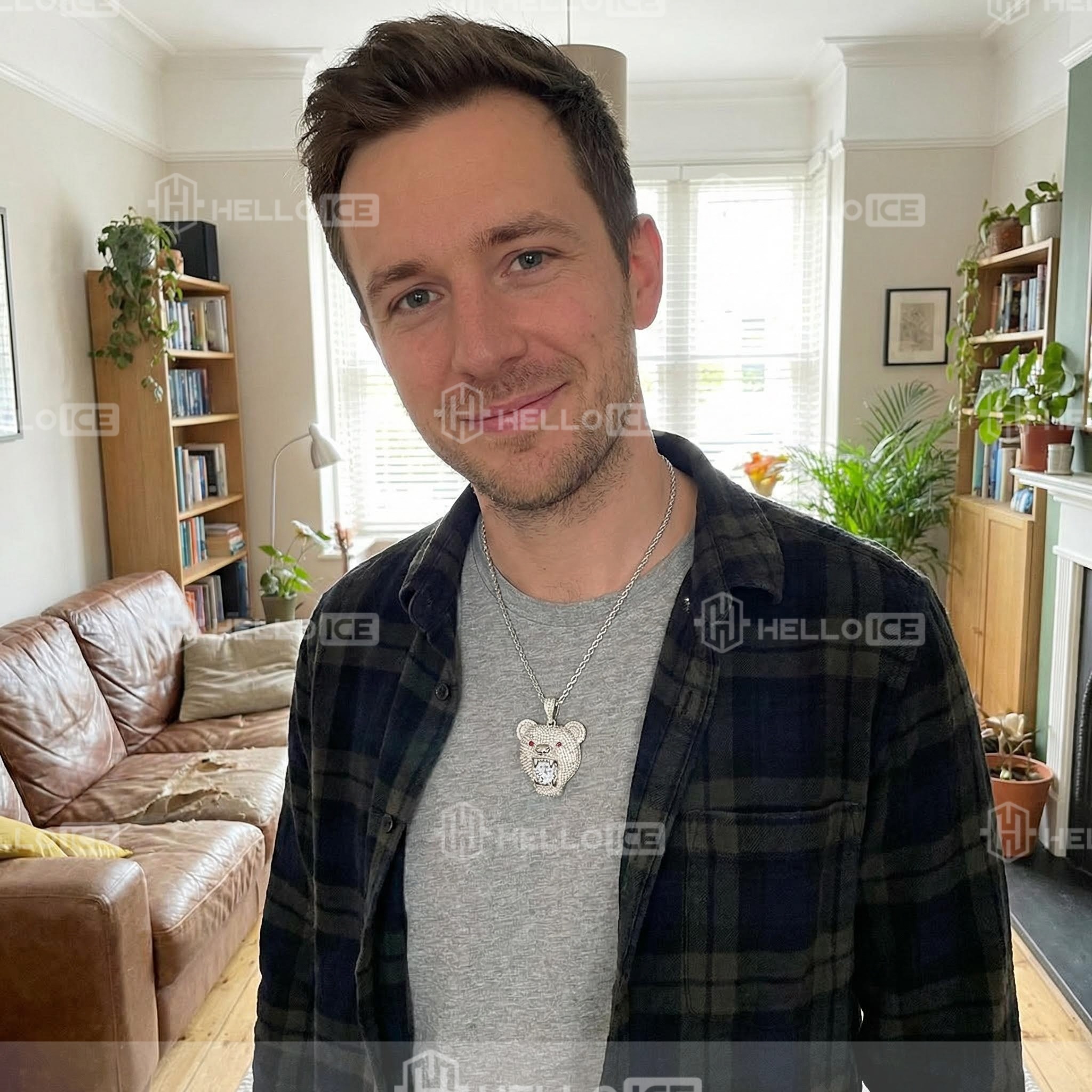 Helloice Review Image