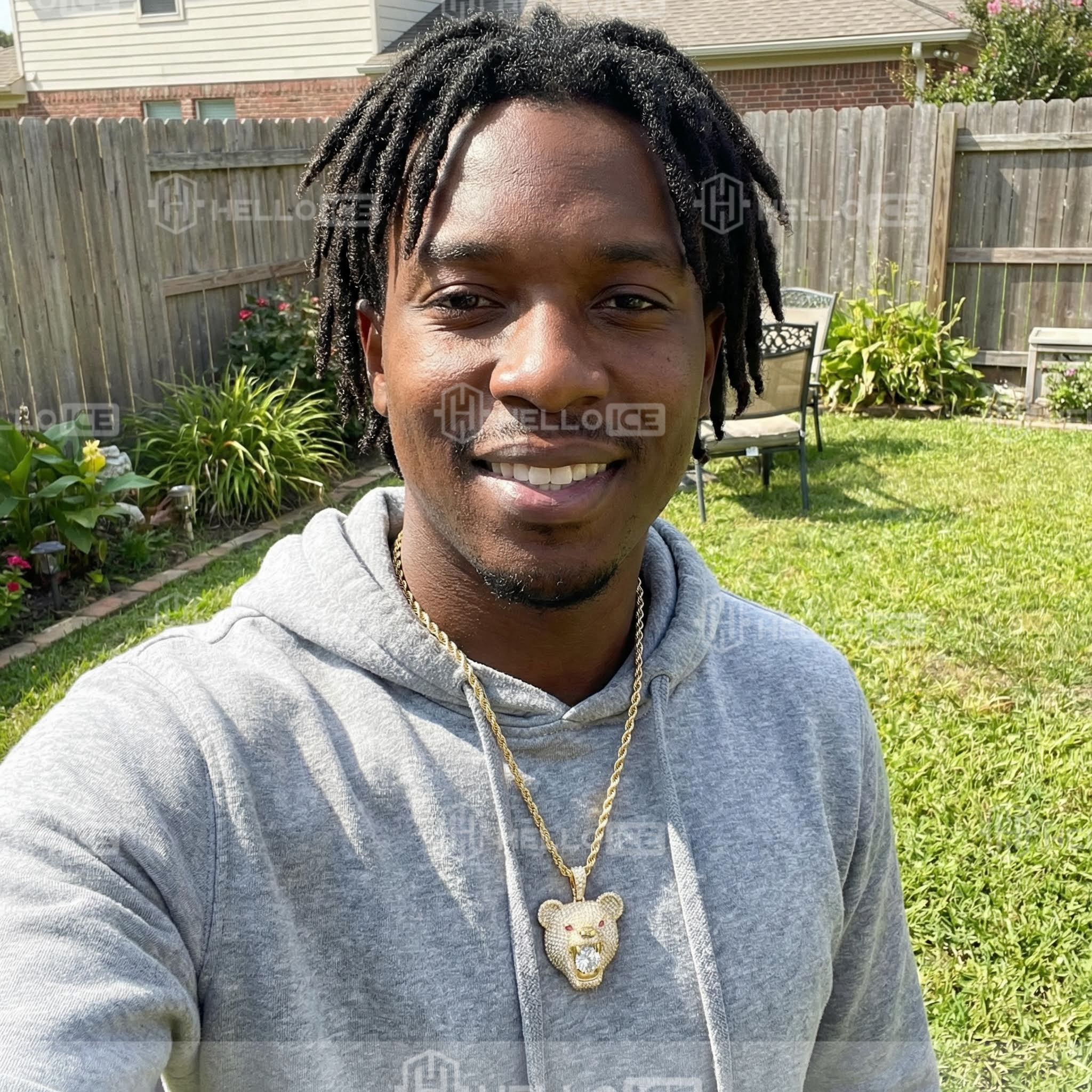 Helloice Review Image