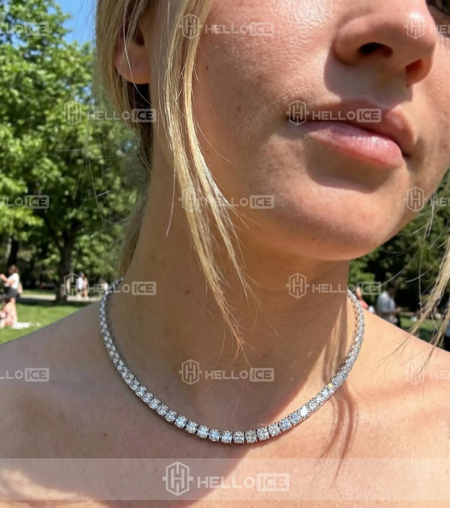 Helloice Review Image