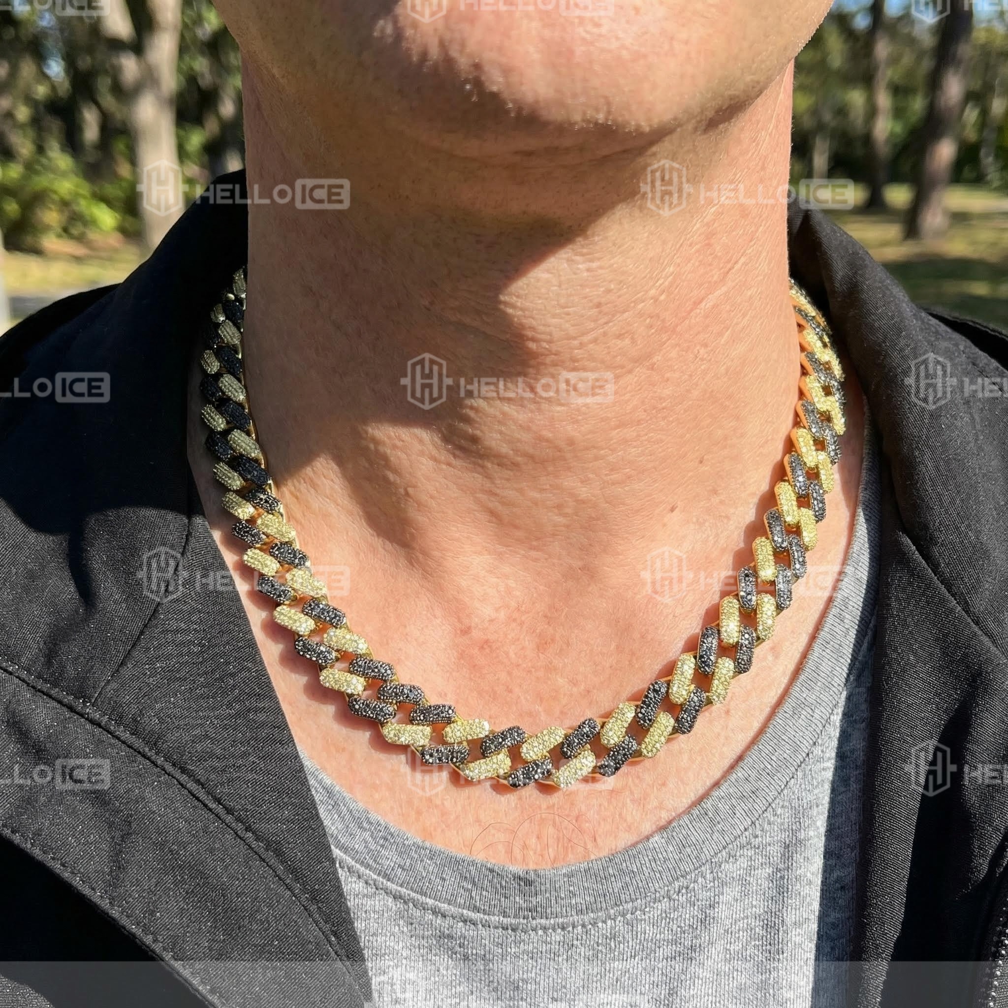 Helloice Review Image