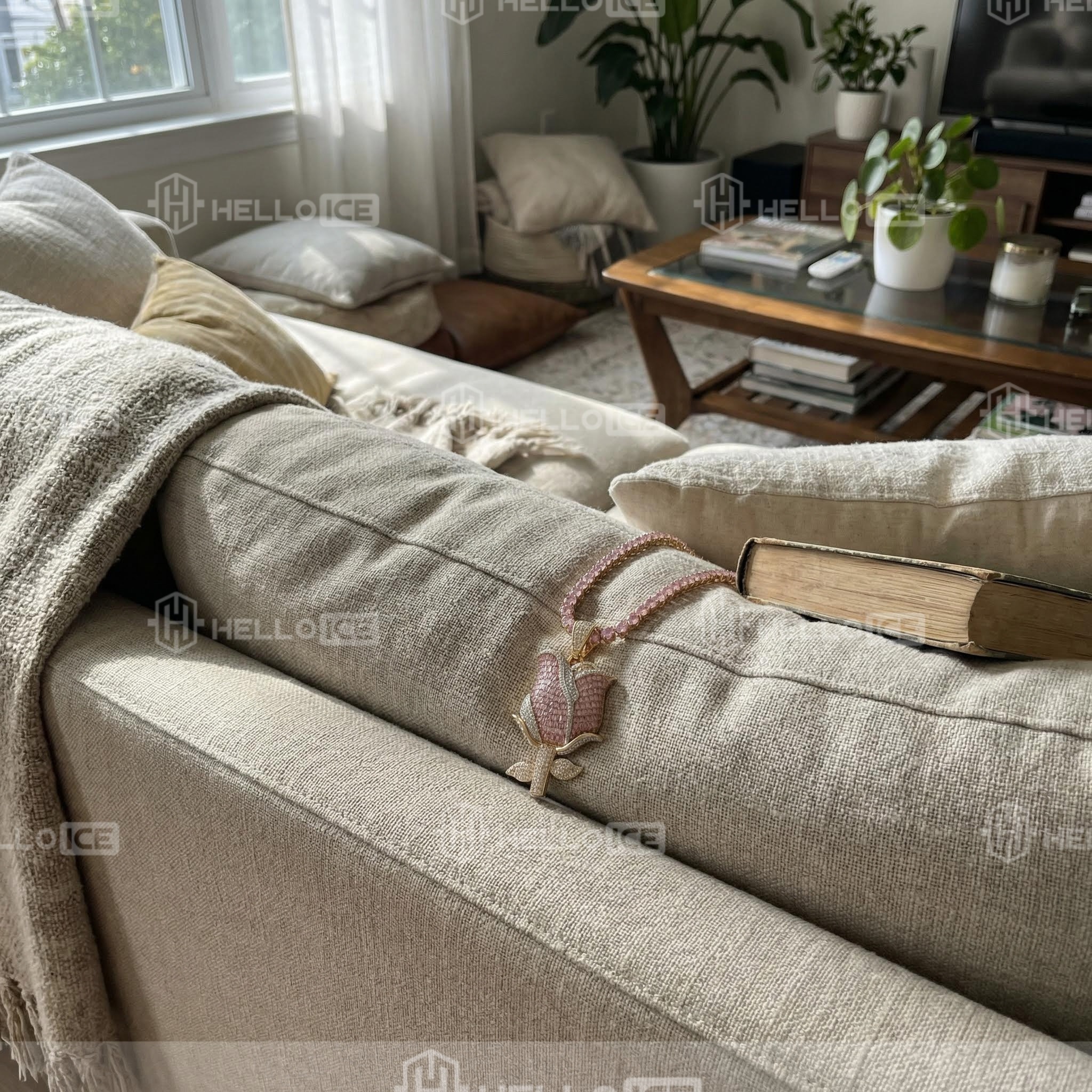 Helloice Review Image