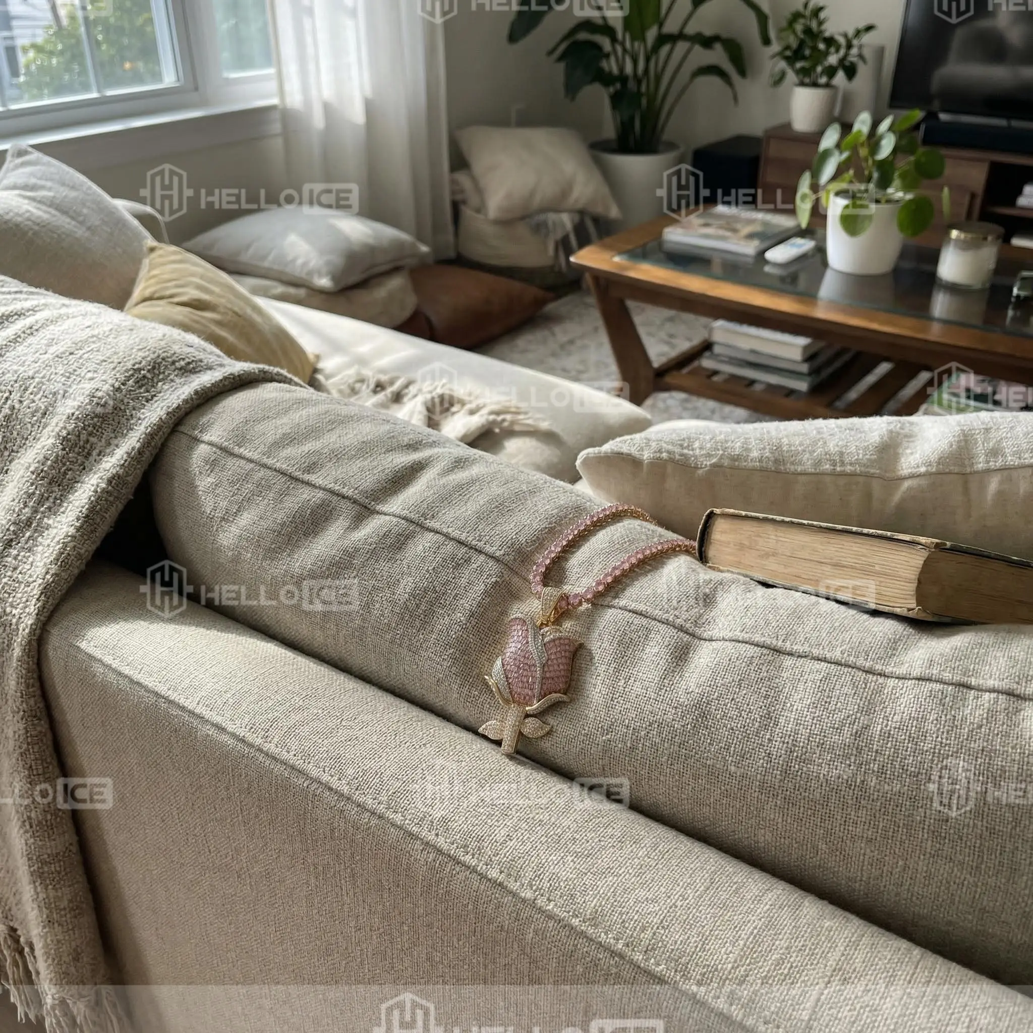 Helloice Review Image