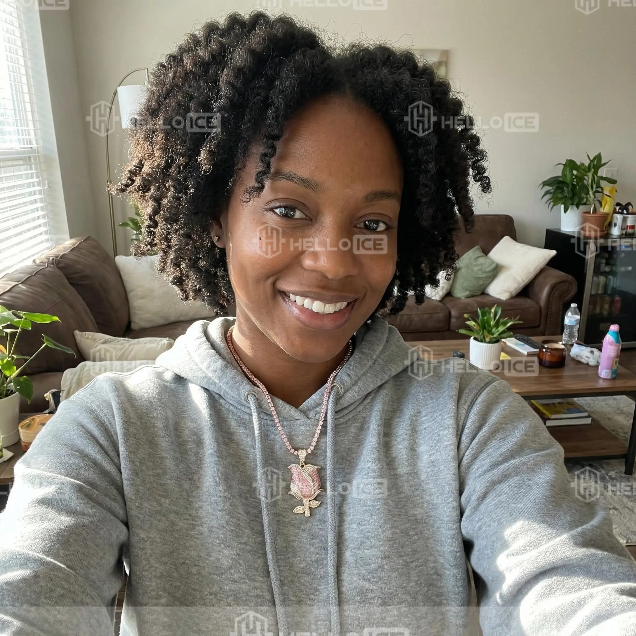 Helloice Review Image