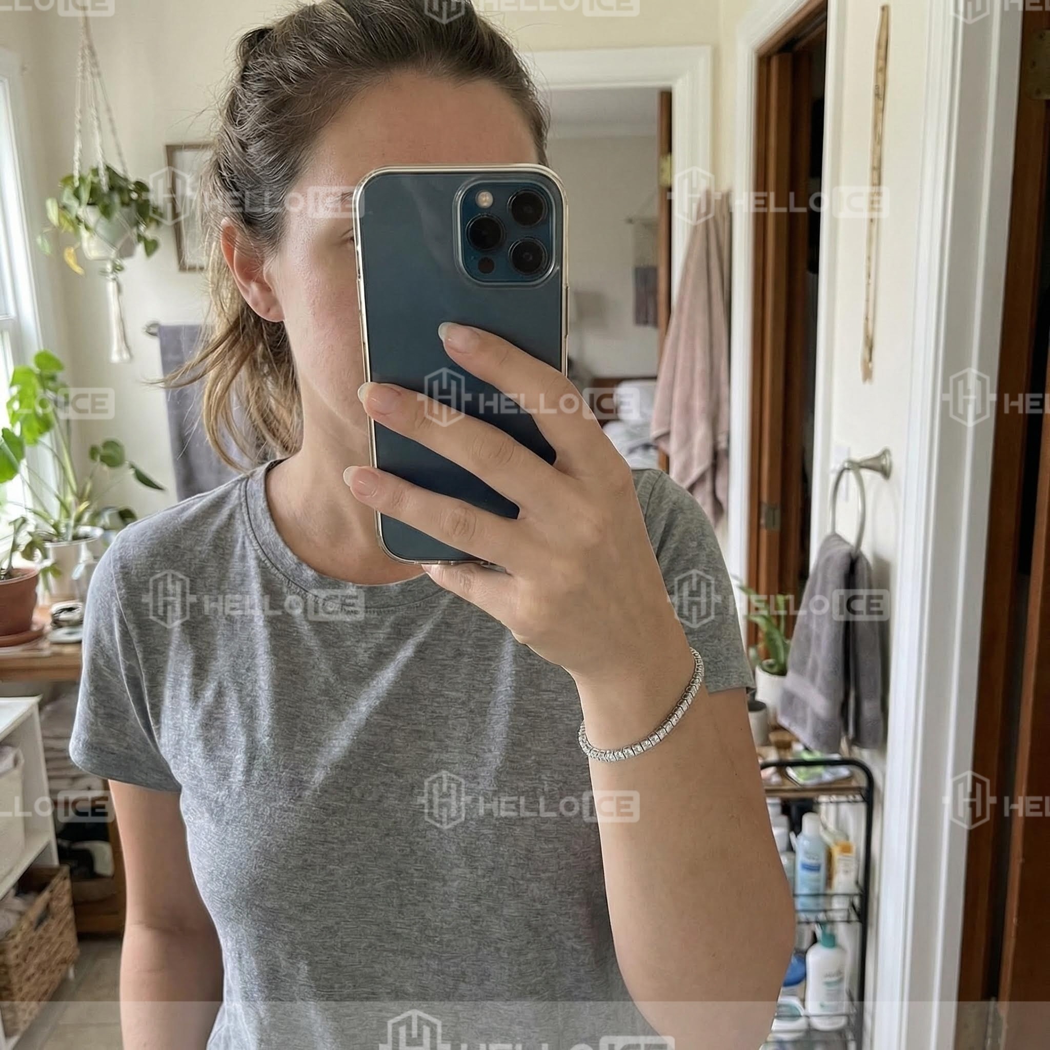 Helloice Review Image