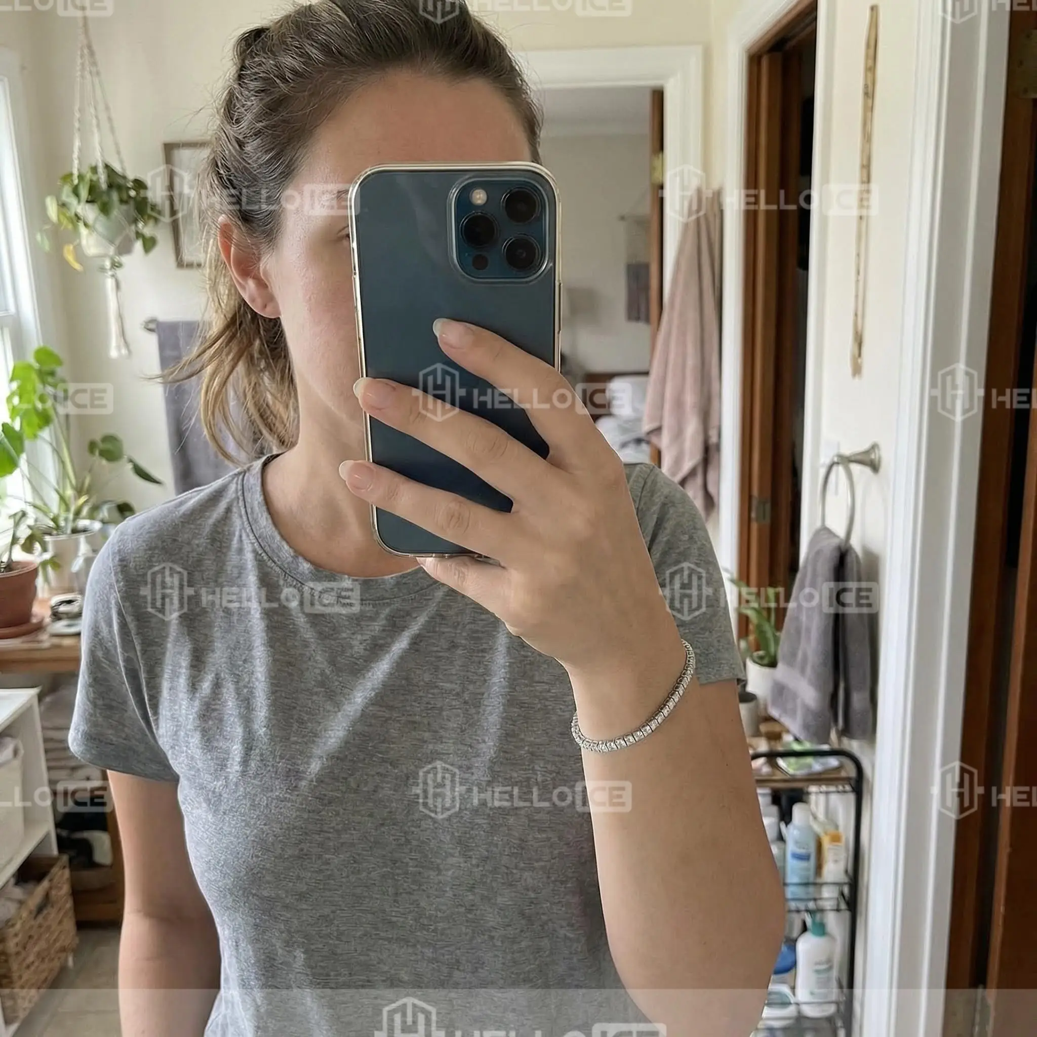 Helloice Review Image