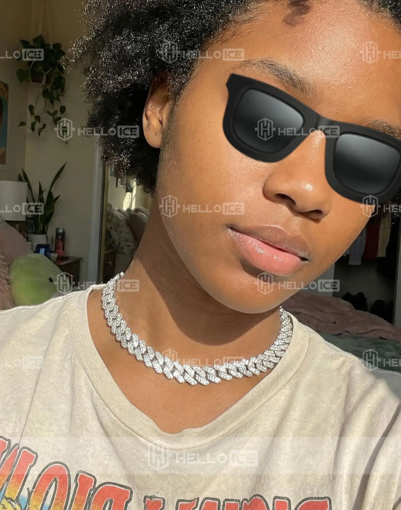 Helloice Review Image