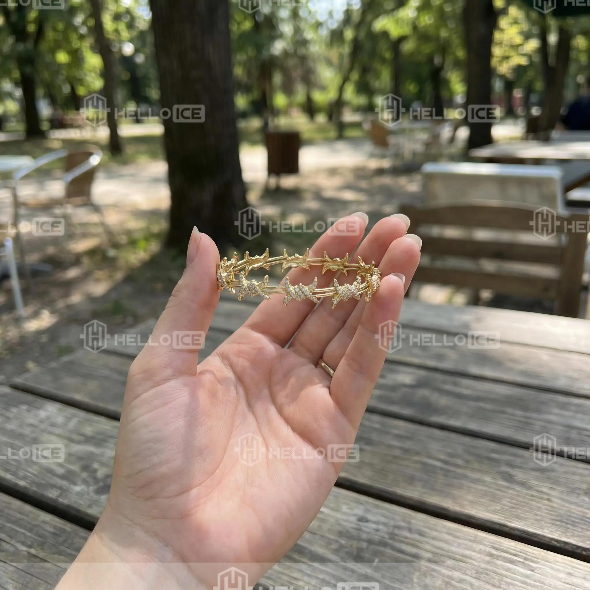 Helloice Review Image