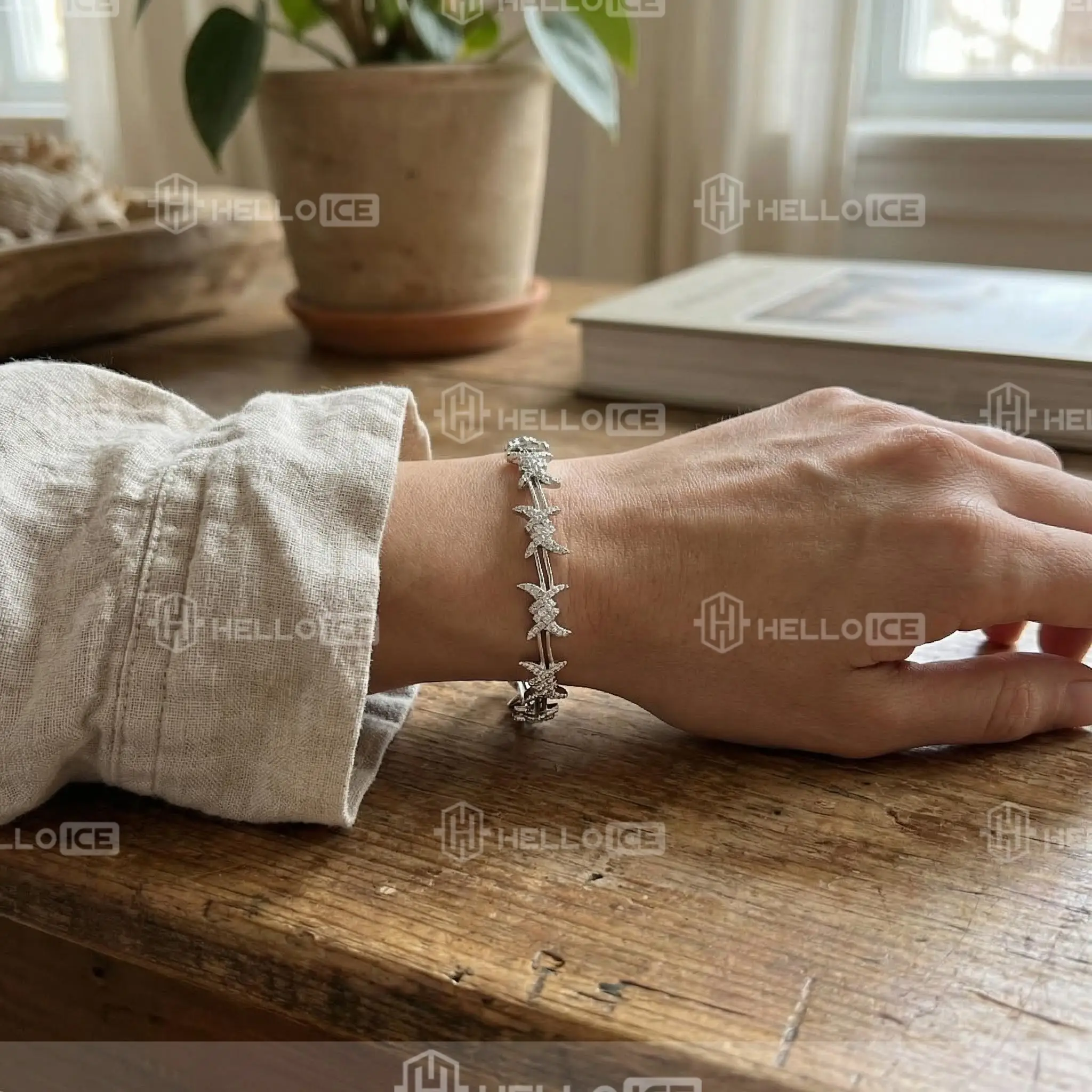 Helloice Review Image