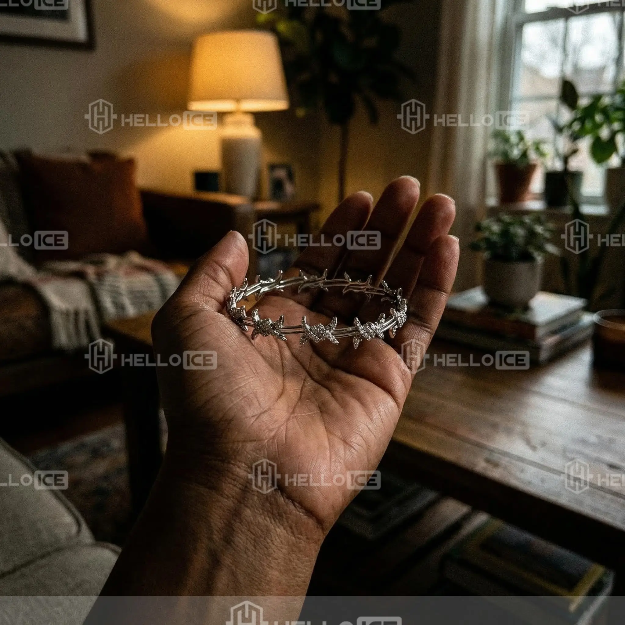 Helloice Review Image