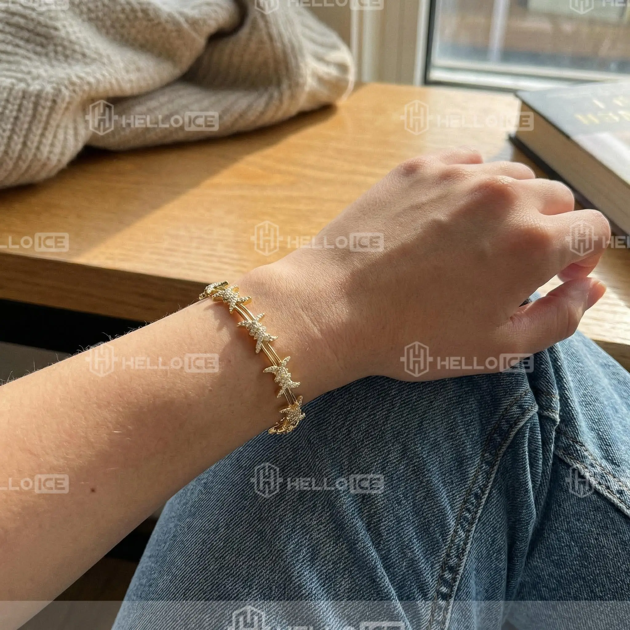 Helloice Review Image