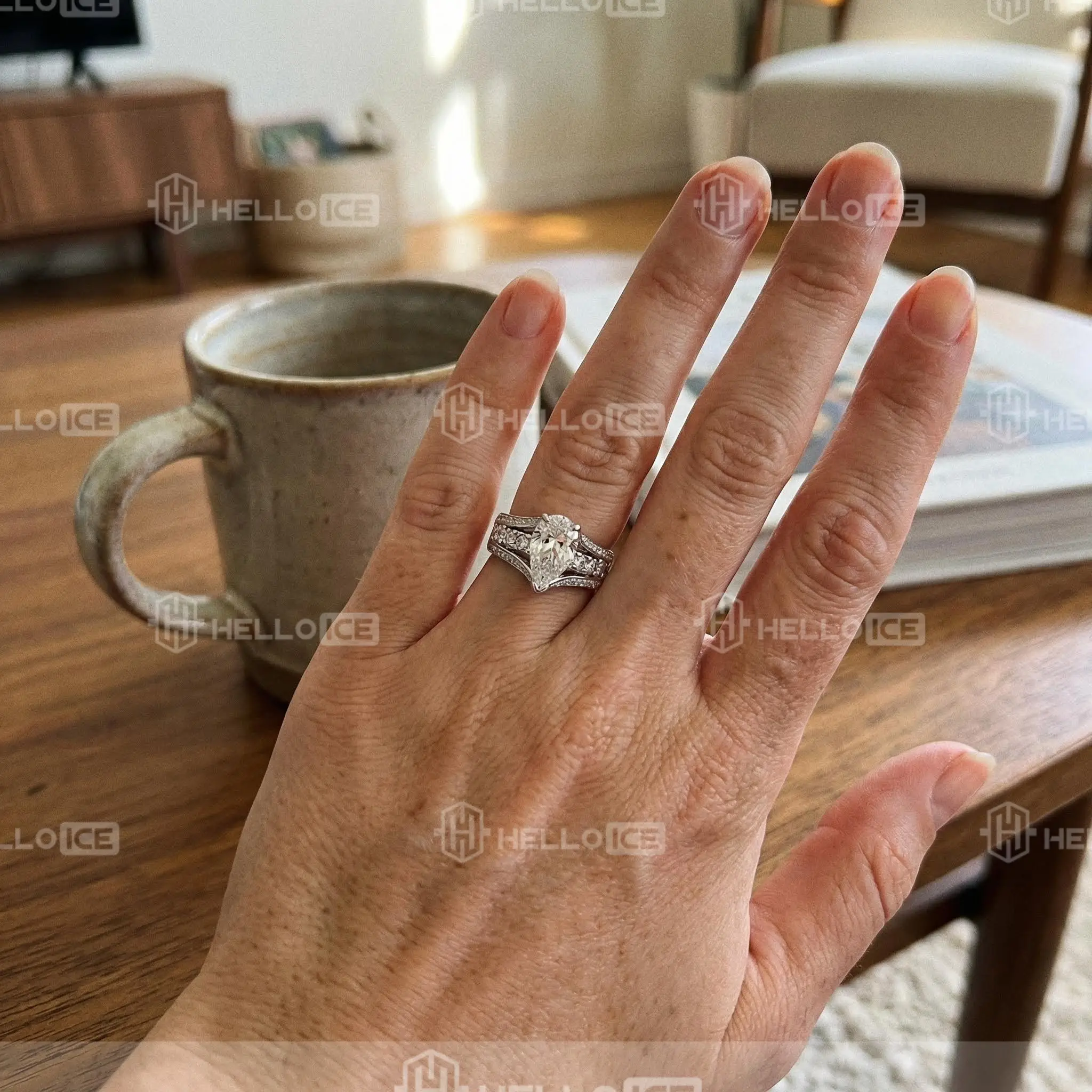 Helloice Review Image