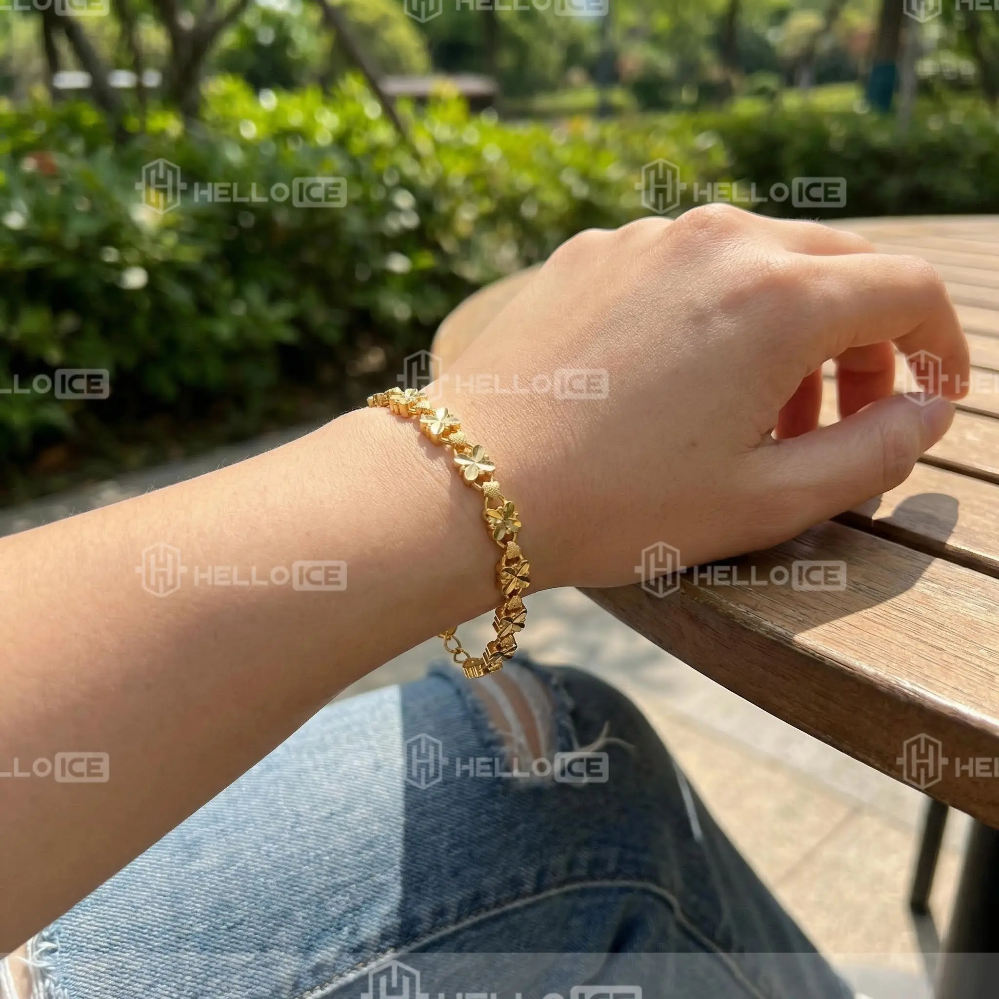 Helloice Review Image