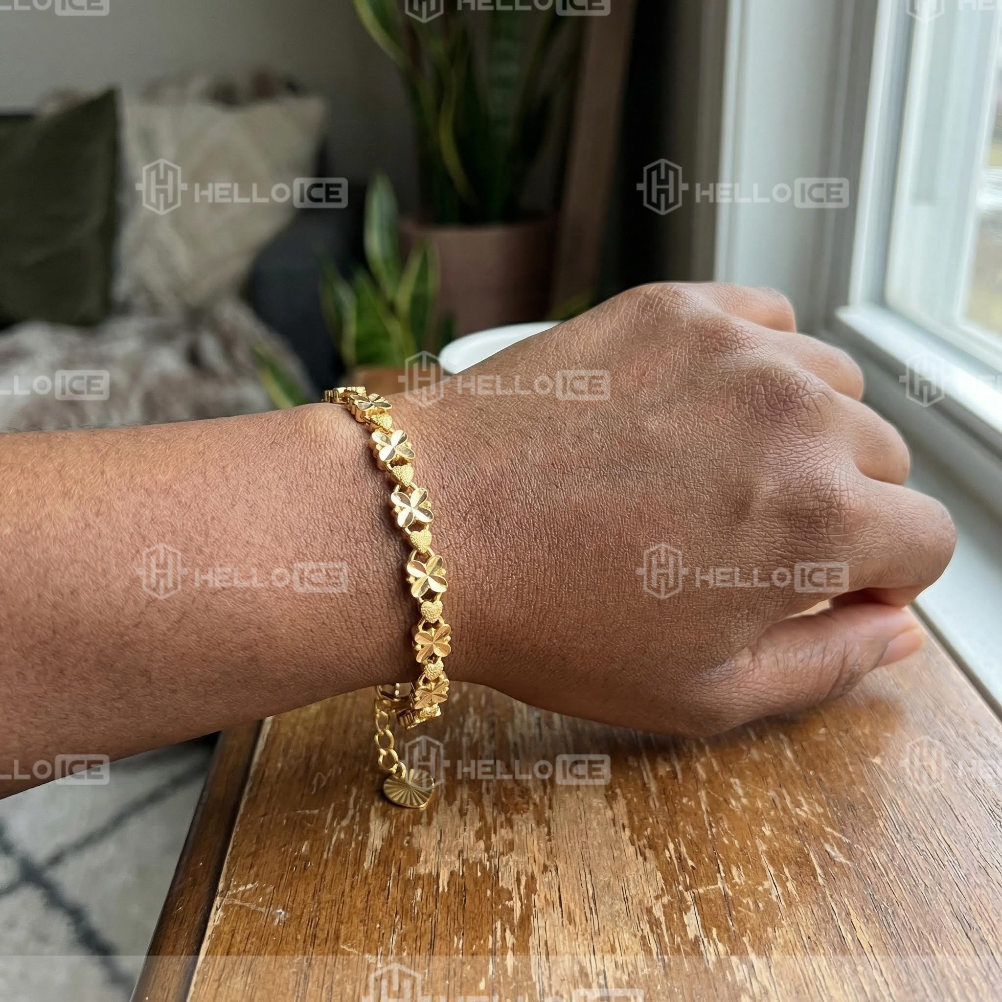 Helloice Review Image