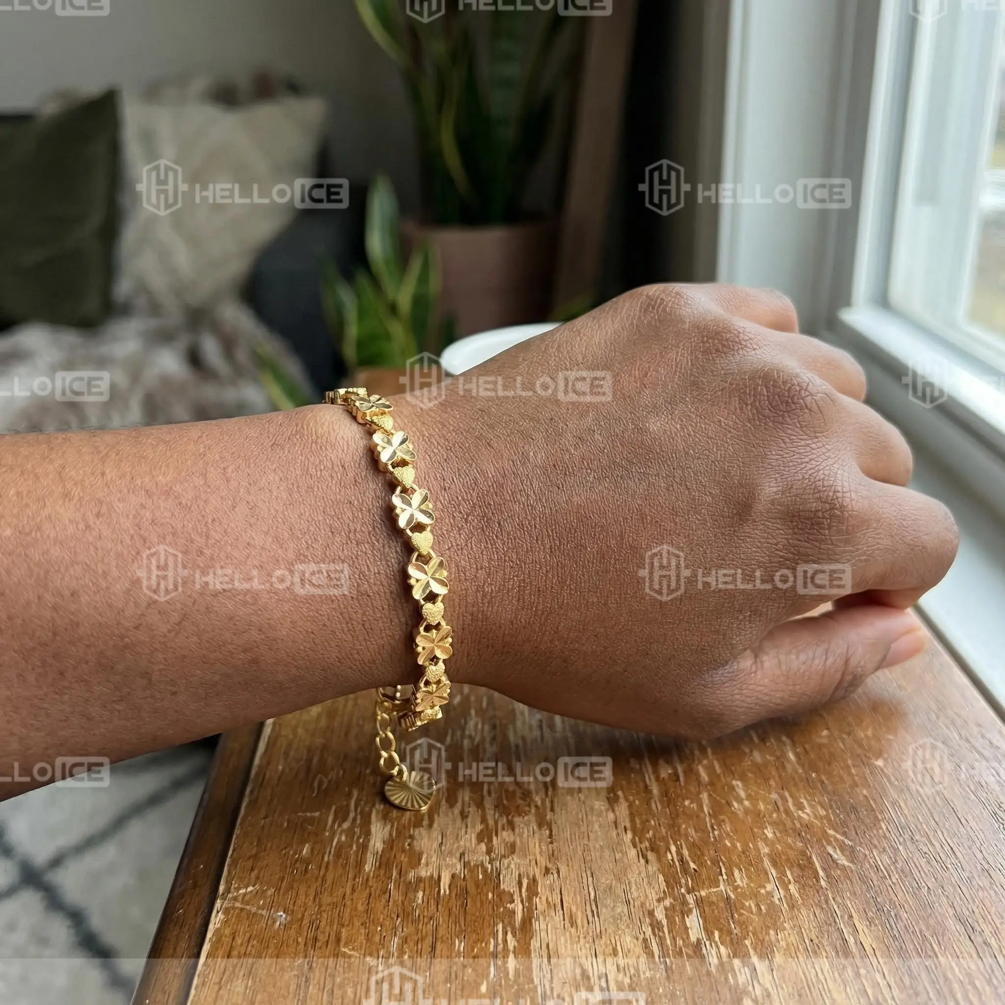 Helloice Review Image