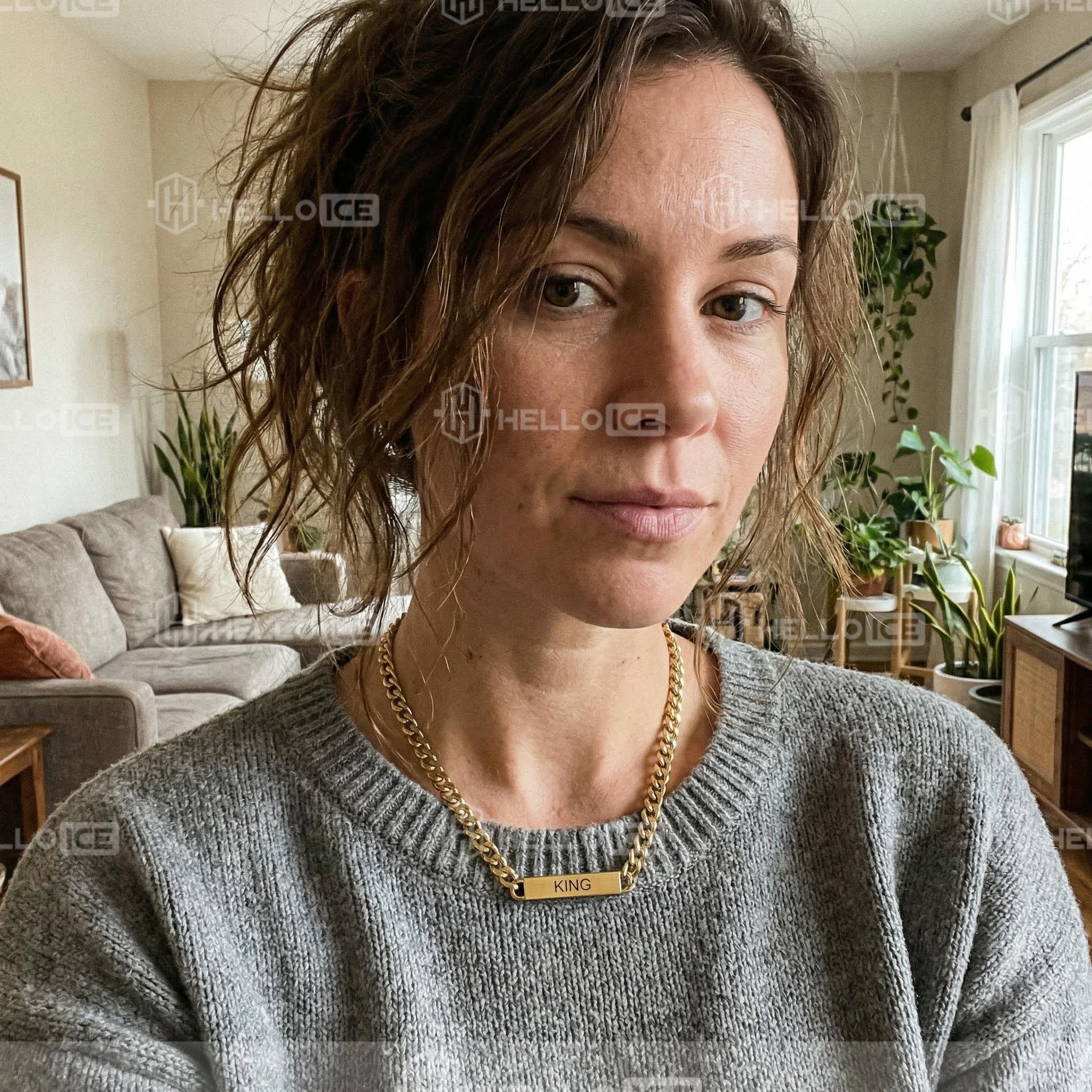 Helloice Review Image