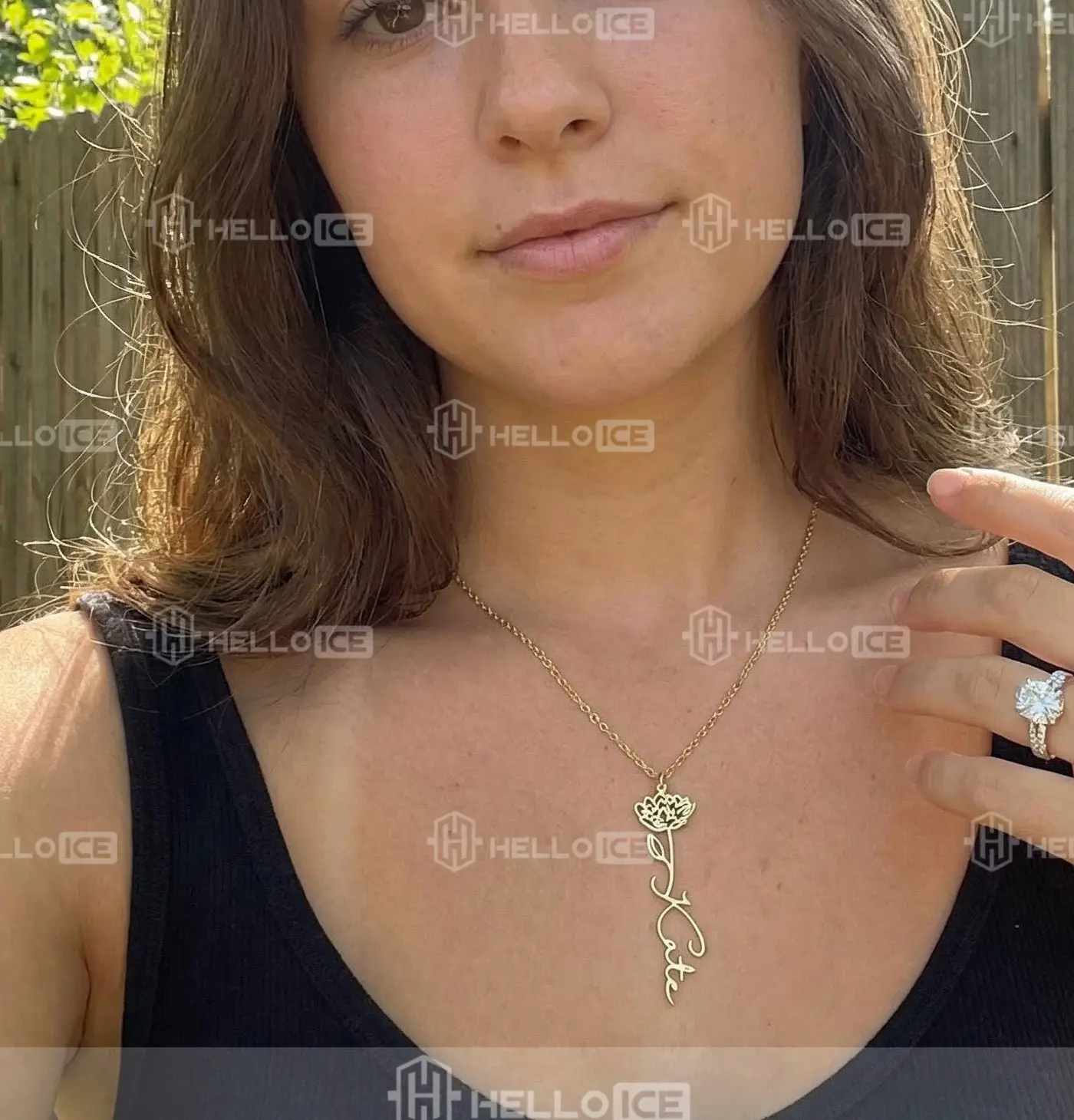 Helloice Review Image